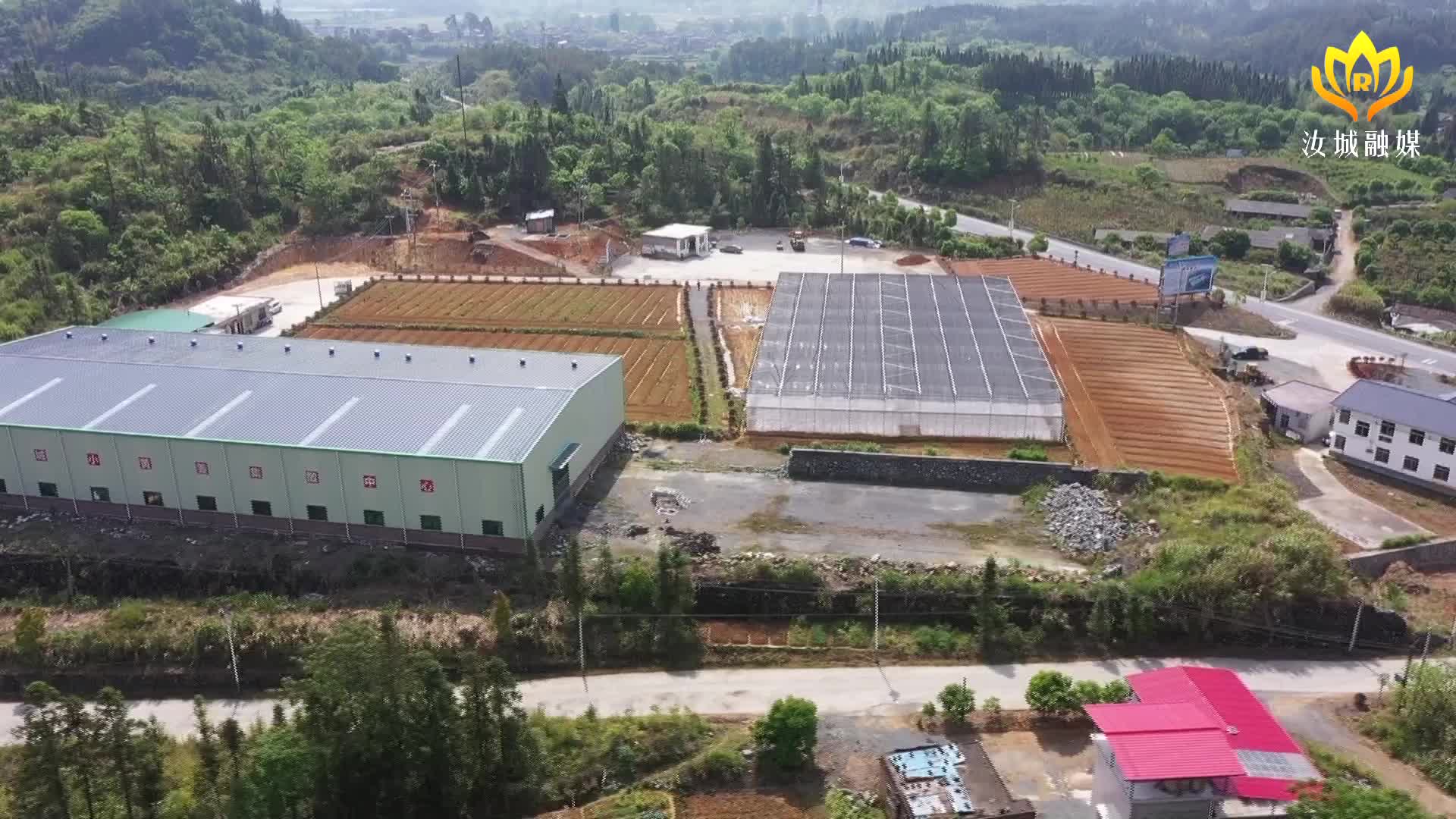 【解放思想拼命干 干出汝城“十大变化”】小黄姜现代科技创新示范园首批脱毒姜苗栽培种植