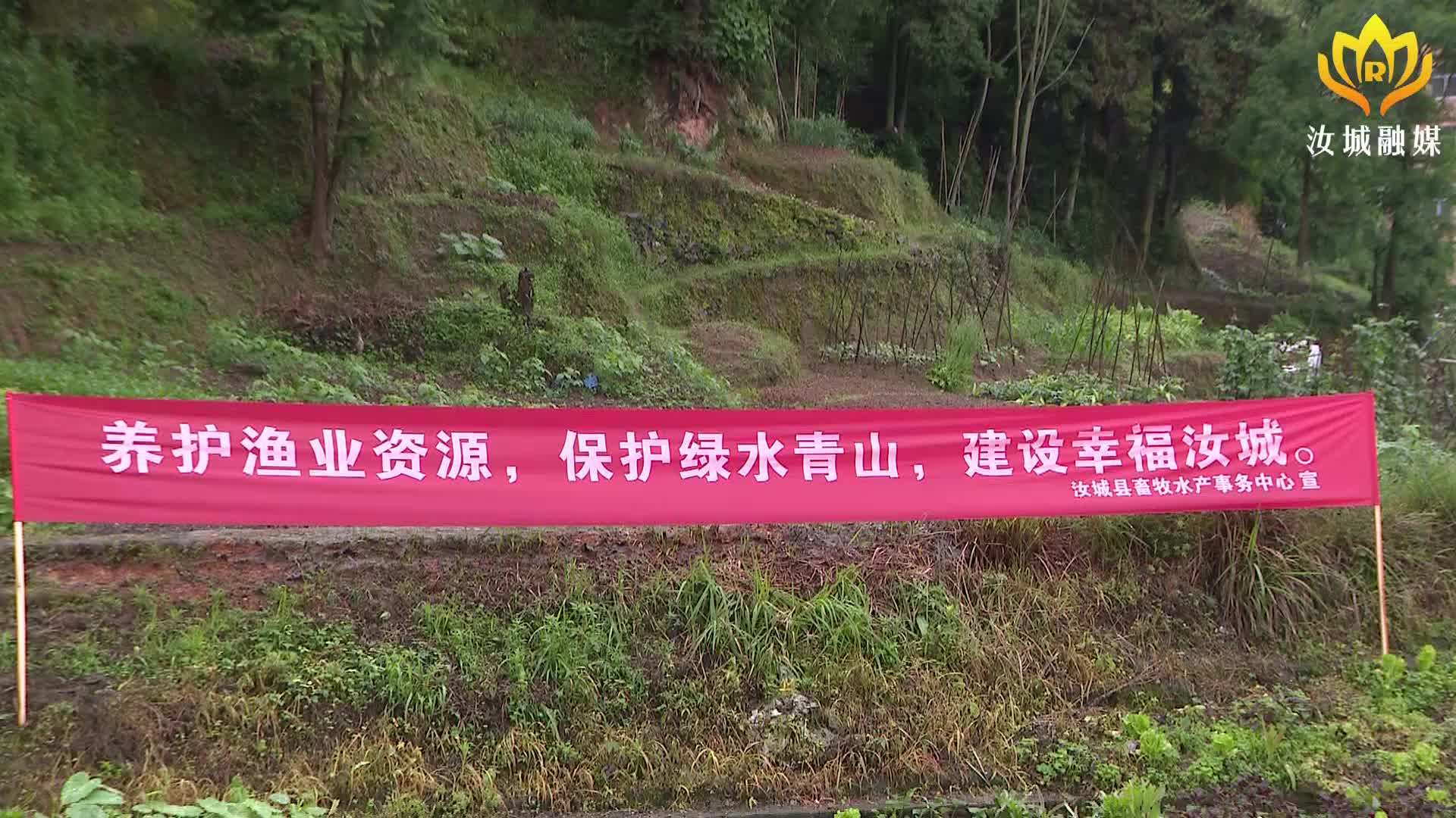 【解放思想拼命干 干出汝城“十大变化”】我县开展2022年鱼类增殖放流活动