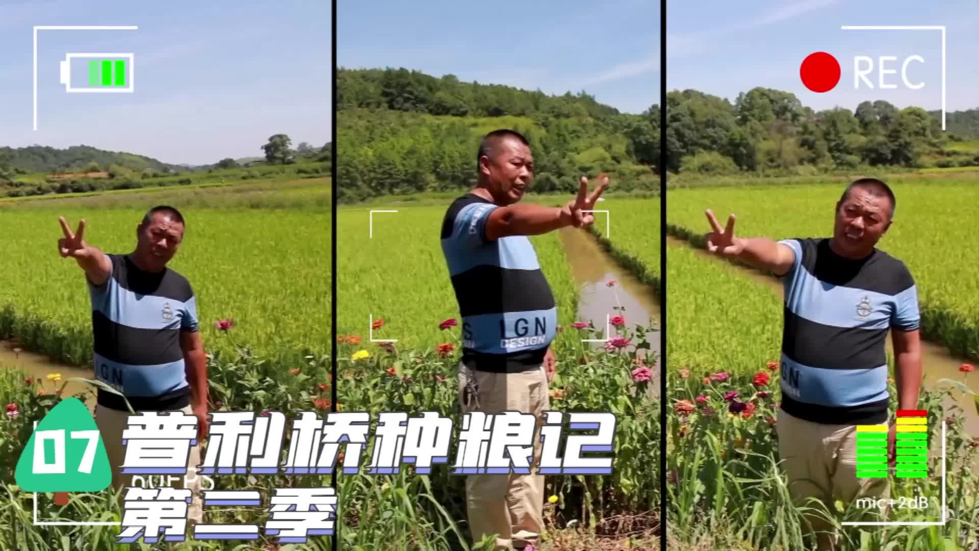 《普利桥种粮记·夏管篇》第七集：你以为直播带货是那样的，其实是这样的……