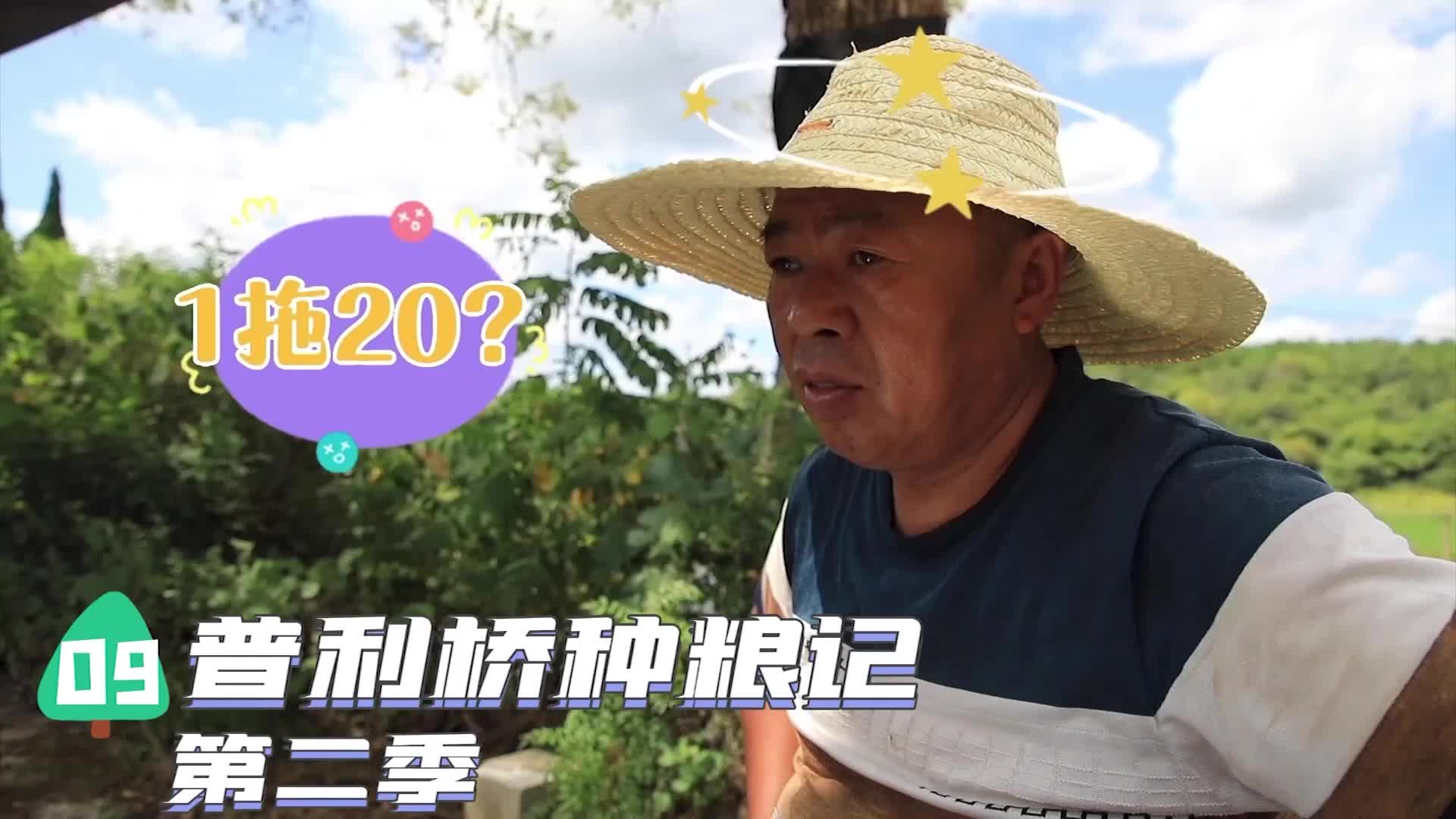《普利桥种粮记·夏管篇》第九集：丰收年里鱼米香，邀客田边＂试吃会＂——味道好不好，吃到嘴里自然见分晓！