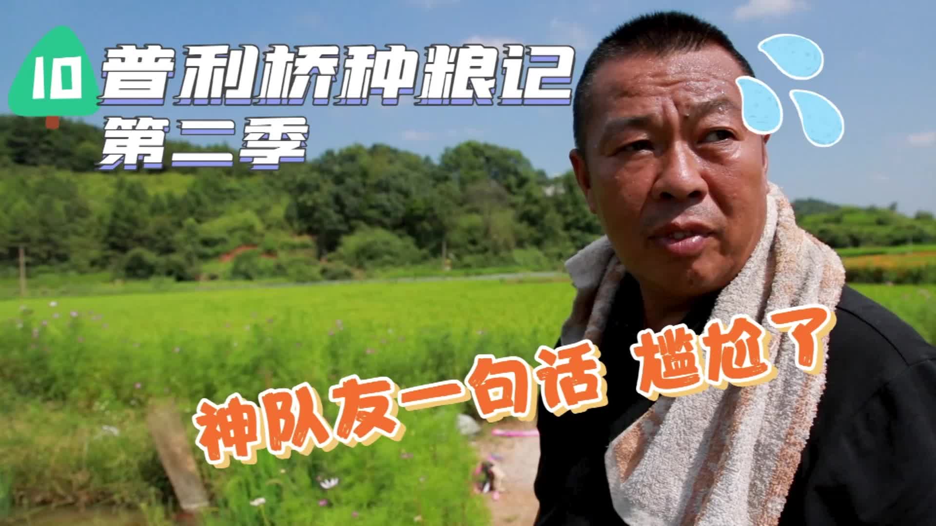 《普利桥种粮记·夏管篇》第十集：讨价还价大半天 “神队友”一句话 尴尬了！