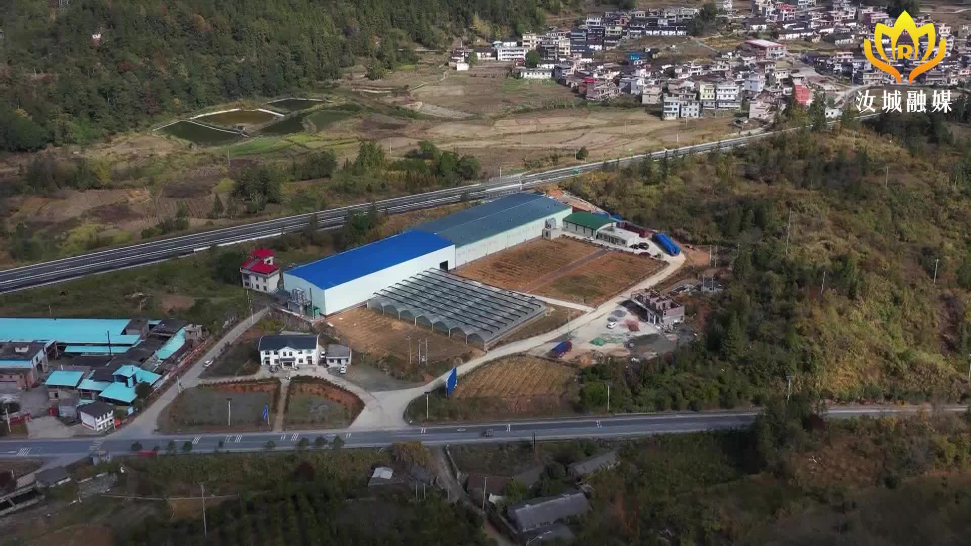 【解放思想拼命干  干出汝城“十大变化”】汝城小黄姜冷链集散中心：冷库项目二期建成投产   助推小黄姜产业高质量发展