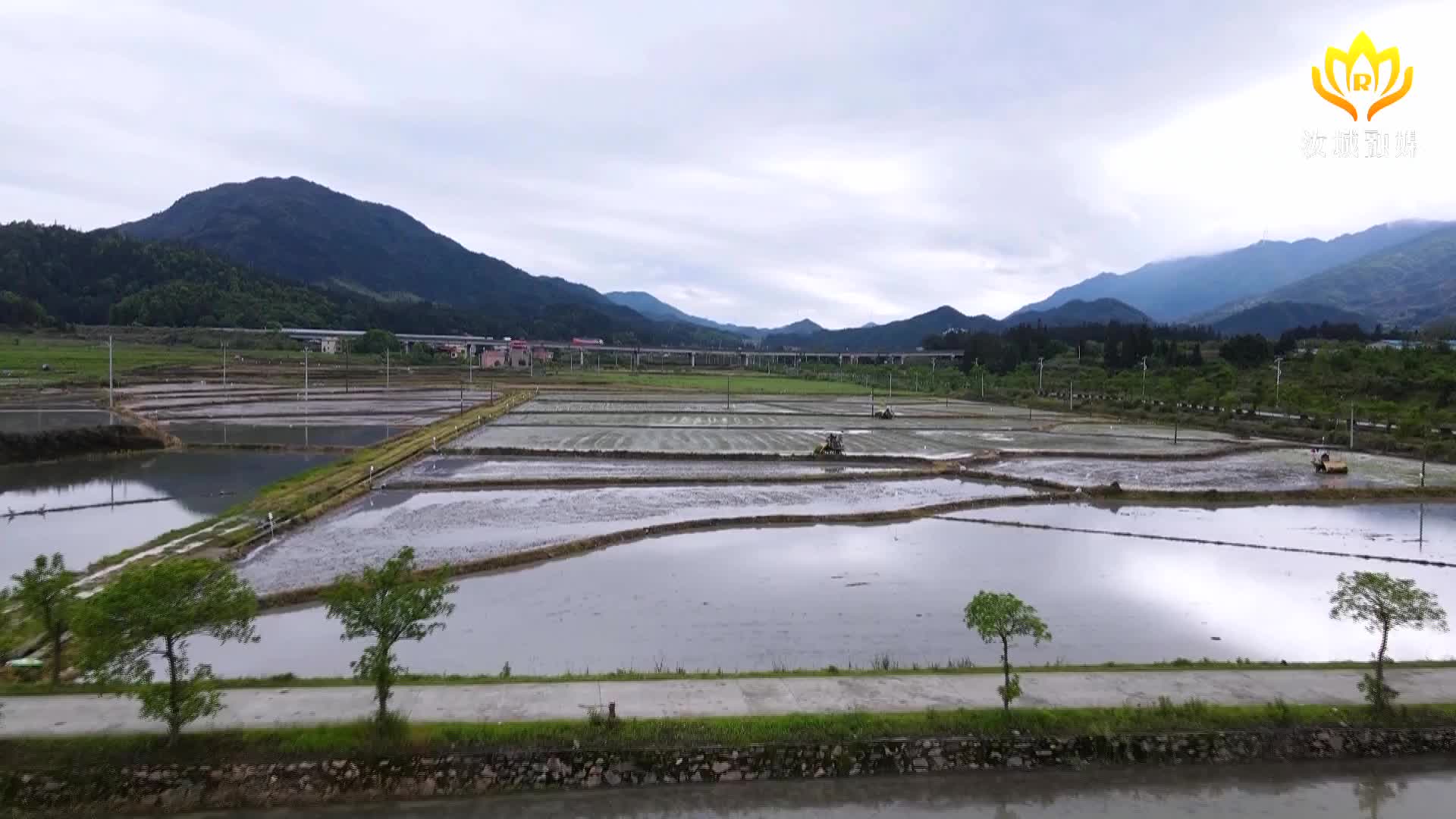 打好“发展六仗” | 机械化插秧奏响春耕“进行曲”