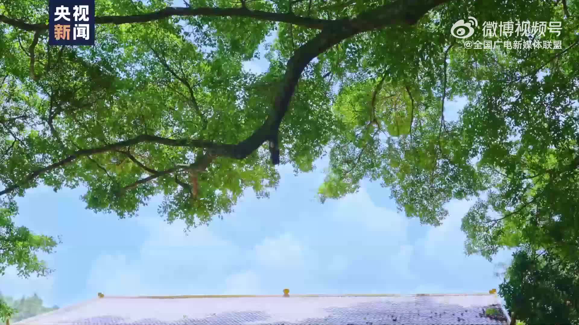 【父亲的叮咛】
