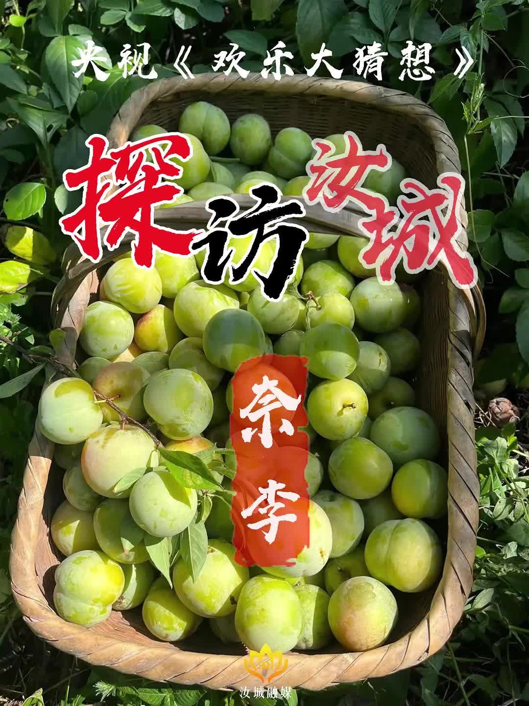 央视《欢乐大猜想》汝城特辑，带您探访汝城奈李