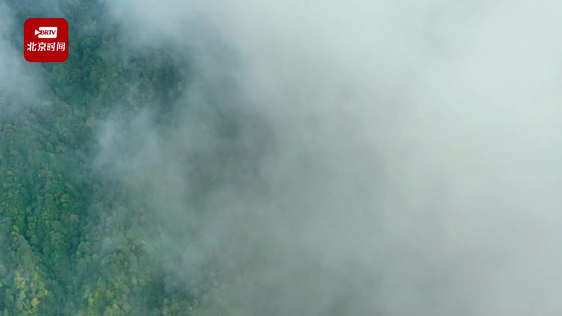 来郴州，徒步原始森林 到莽山，探访“蛇中大熊猫”