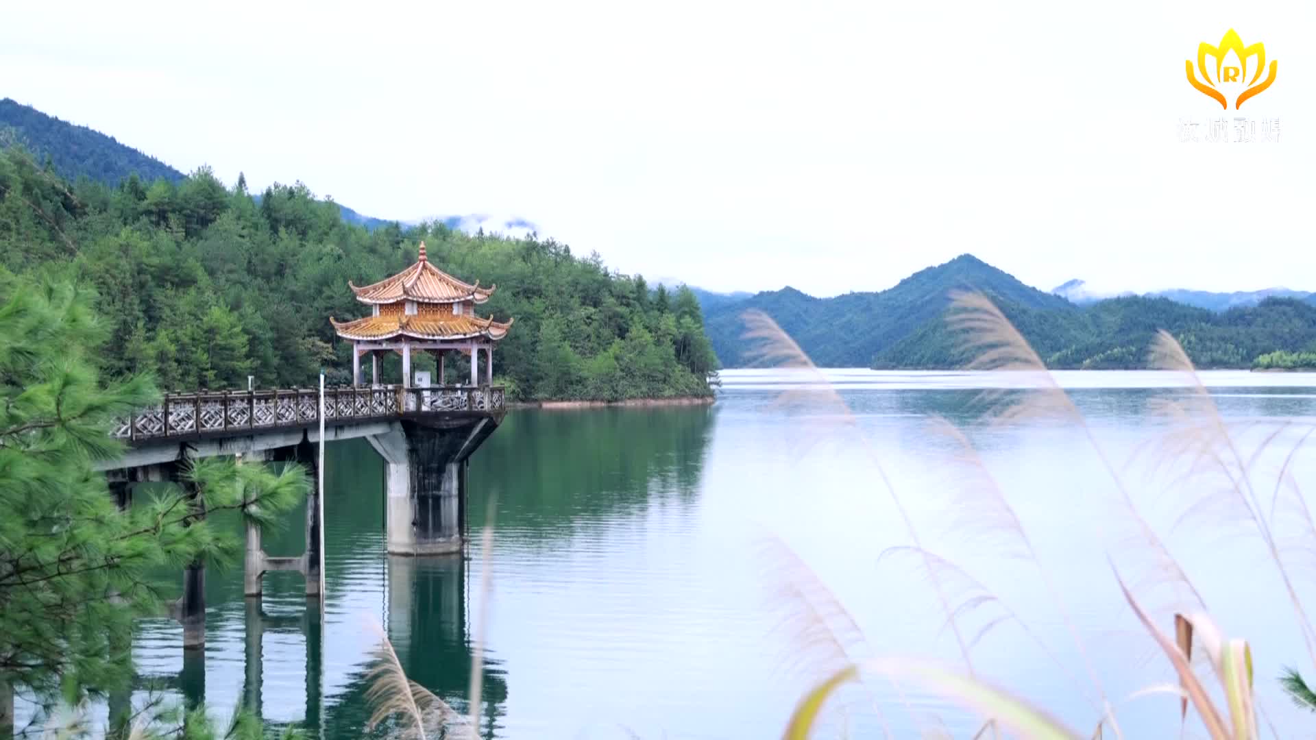 龙虎洞水库管理所：保护水源地 守护绿水青山
