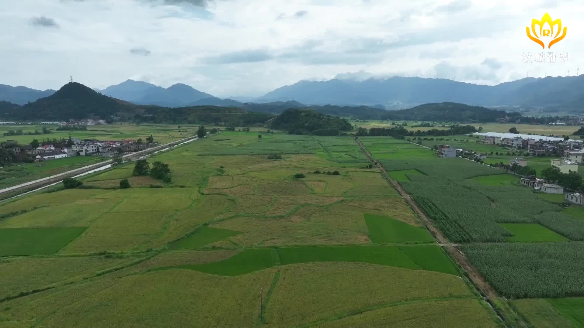大坪镇：盘活闲置土地资源 促进农业产业提质增效