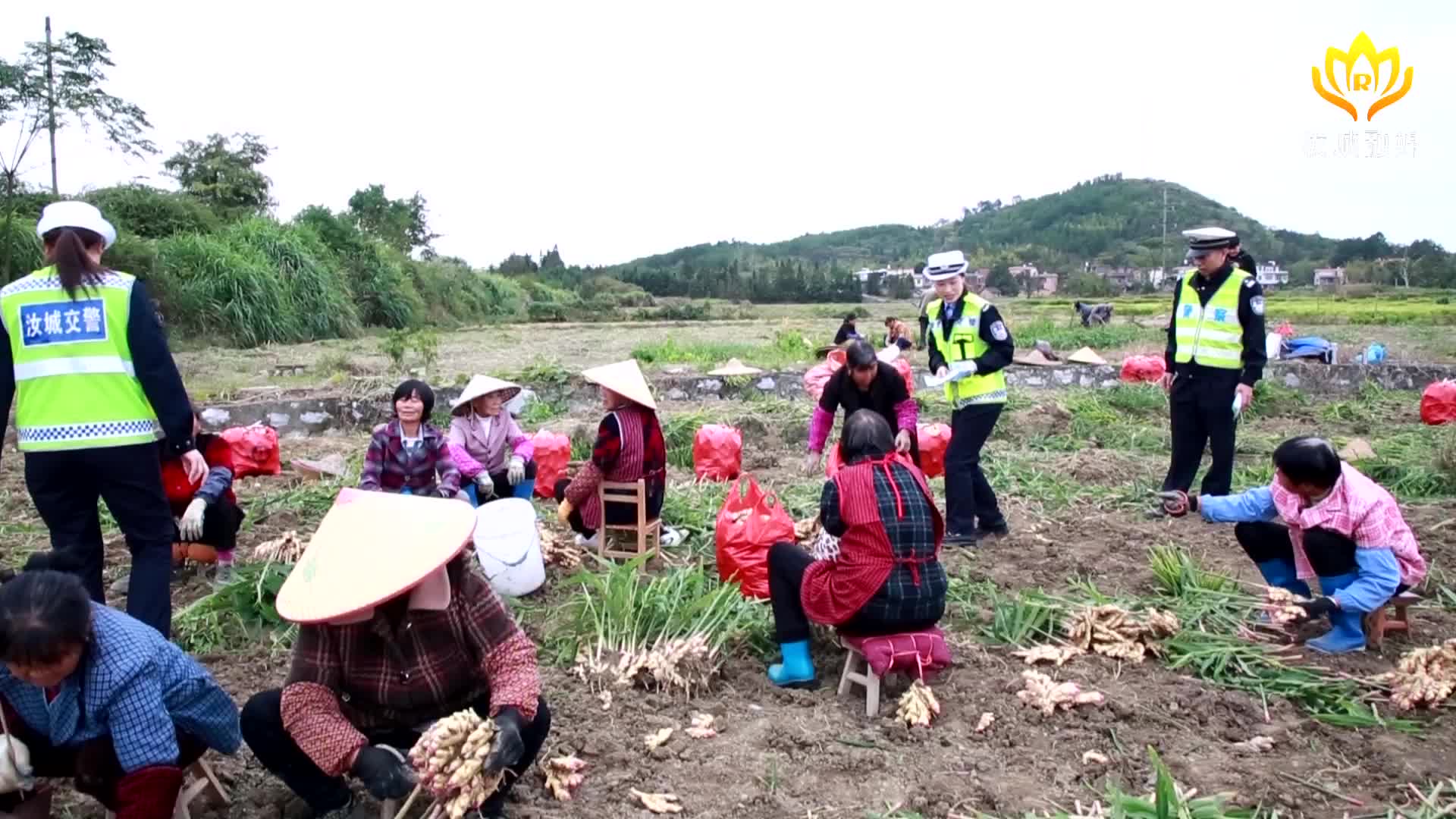 民警到田间地头与群众 “拉家常”话交通