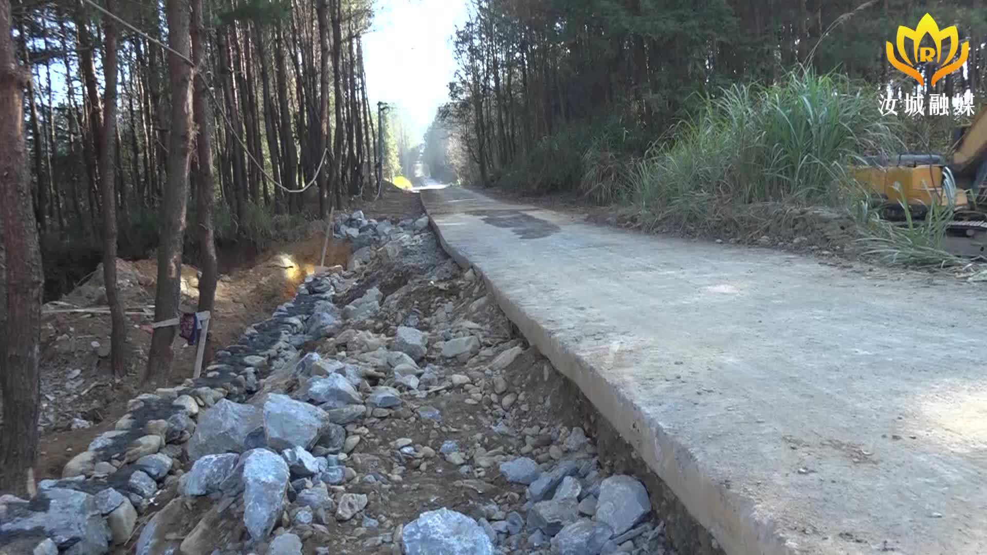 走基层 找问题 想办法 促发展丨大坪镇：修建产业路 拓宽“致富路”