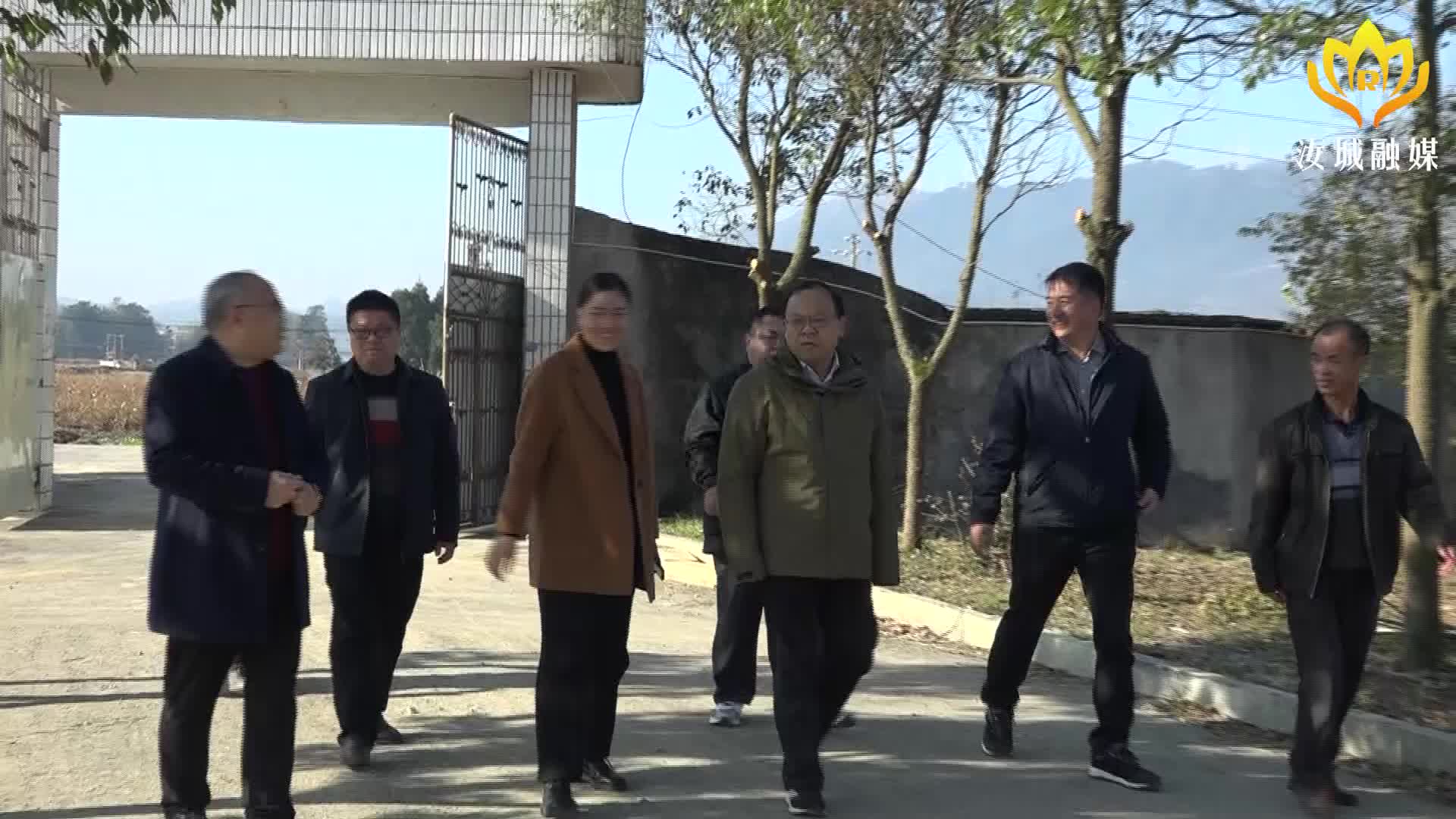 走基层 找问题 想办法 促发展丨县政协专题调研井坡镇农业产业发展