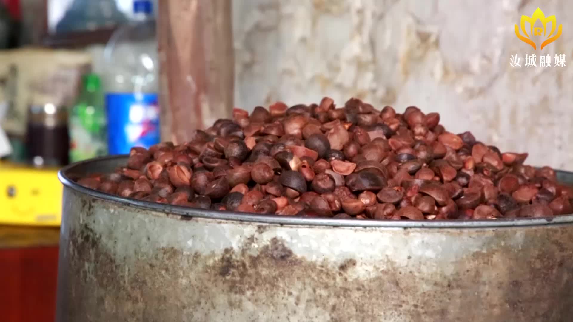 濠头山茶油飘香开榨