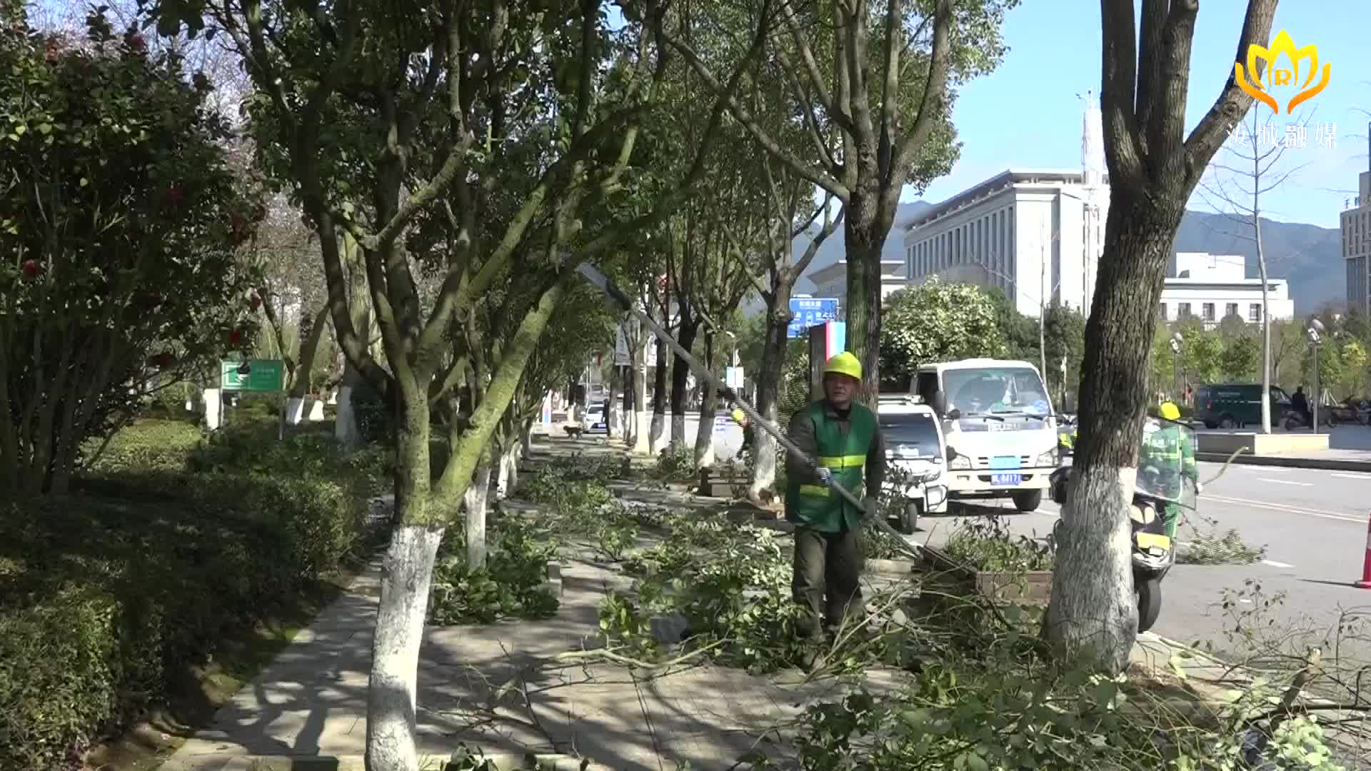 春日换新颜 绿化修剪正当时