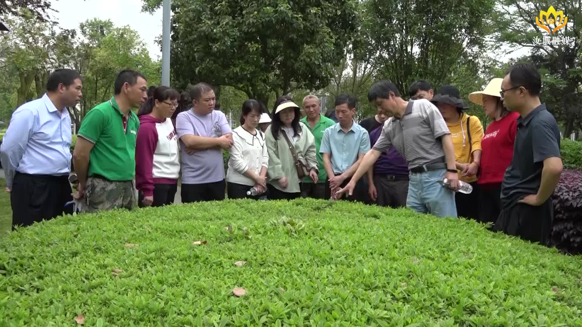 春季养护正当时 技能培训助提升