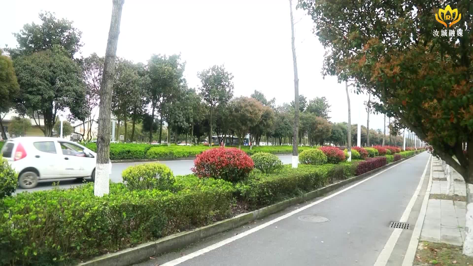 做好绿化养护 提升城市颜值