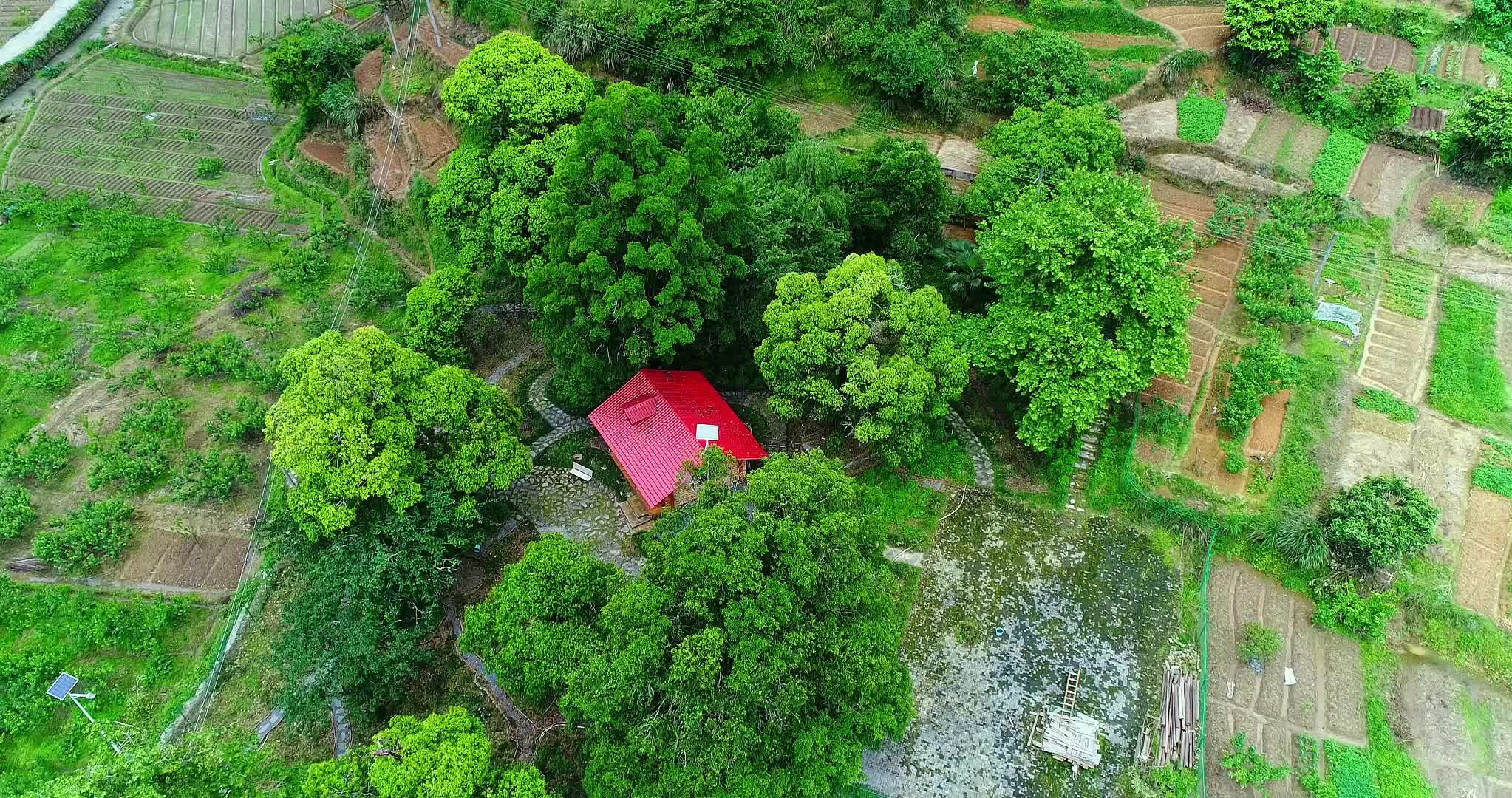 文明瑶族乡古树群