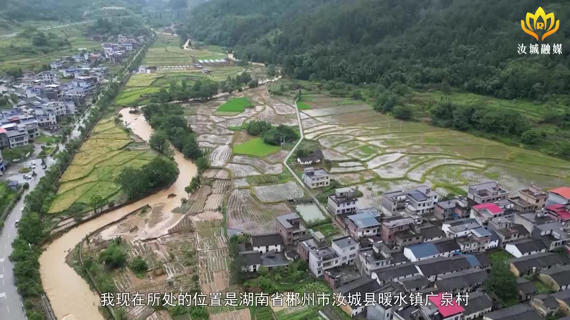 【众志成城 防汛抗洪】多部门联动 全力做好灾后赔付和恢复农业生产工作