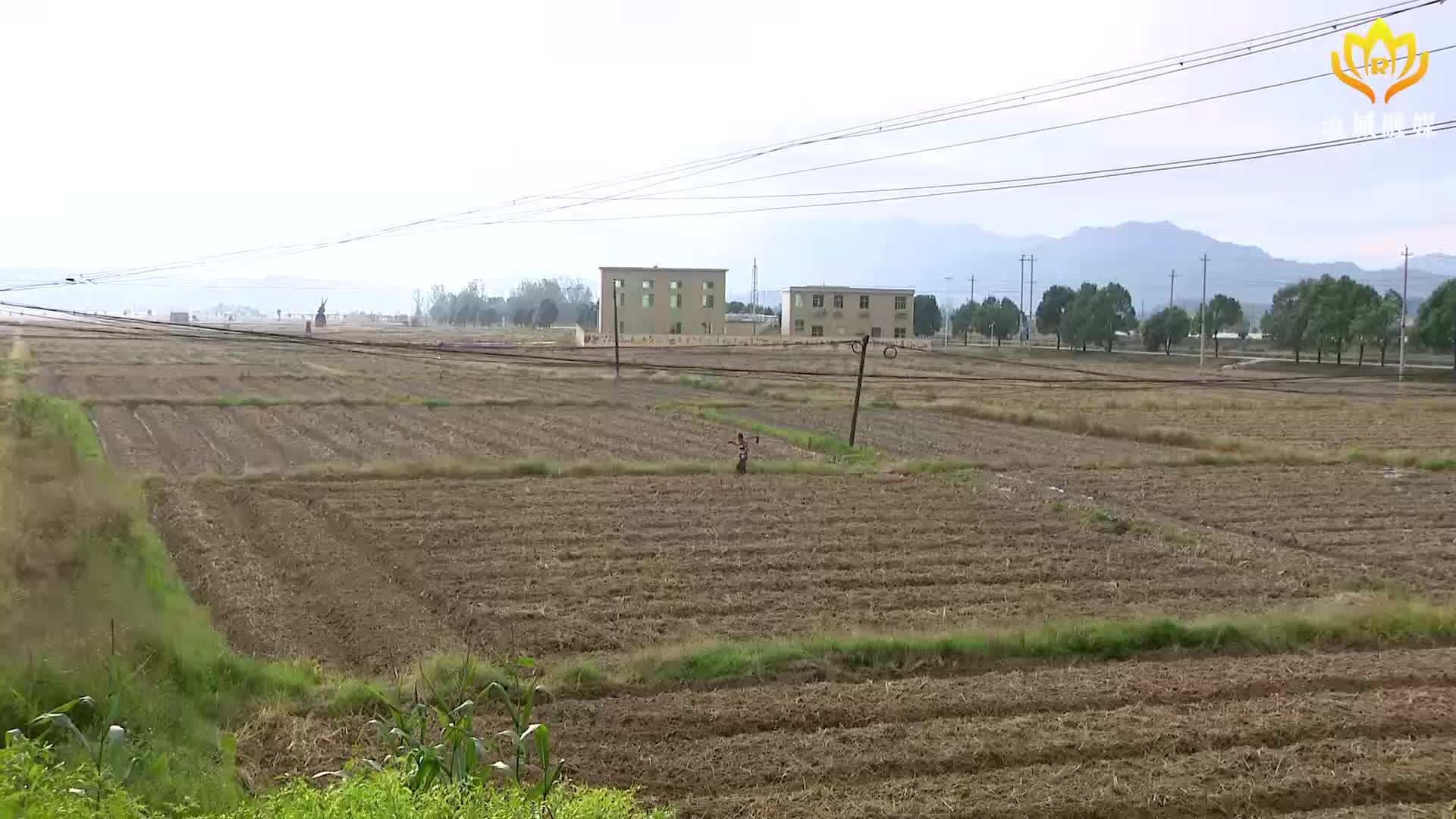 大坪镇：秋冬田不慌 油菜播种忙