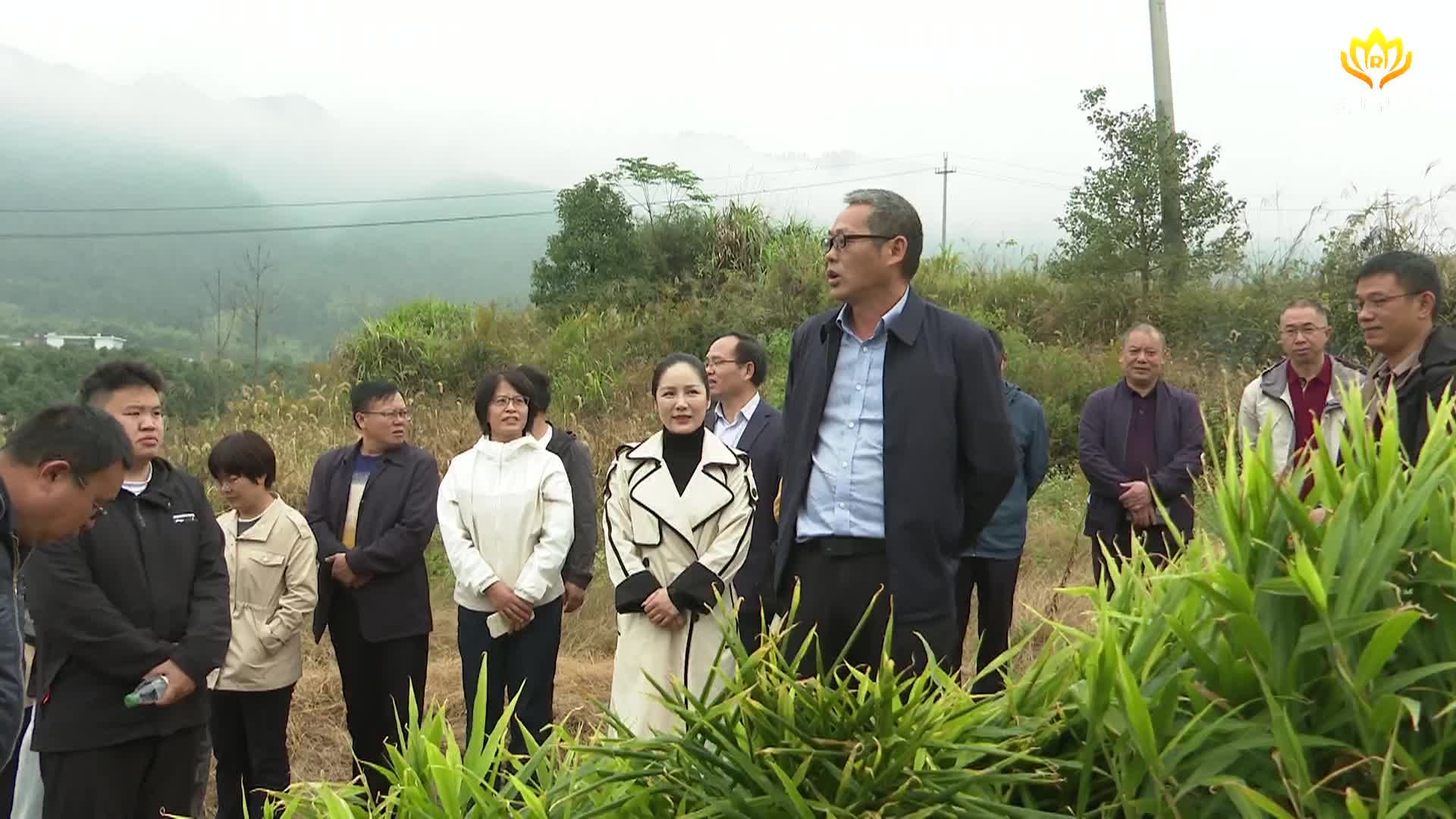 我县开展小黄姜脱毒姜种、育苗移栽技术示范推广现场观摩活动