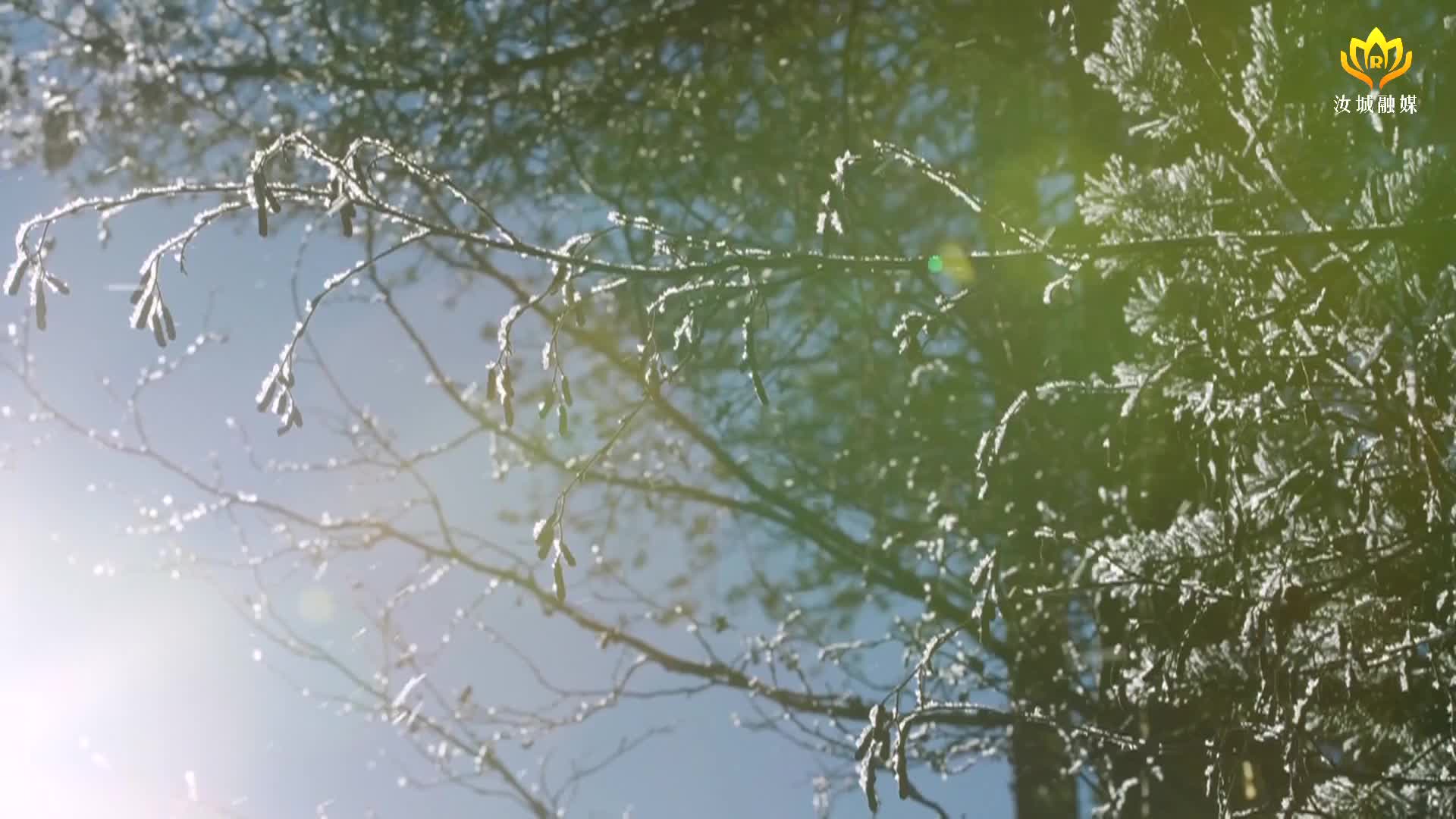 今日小雪