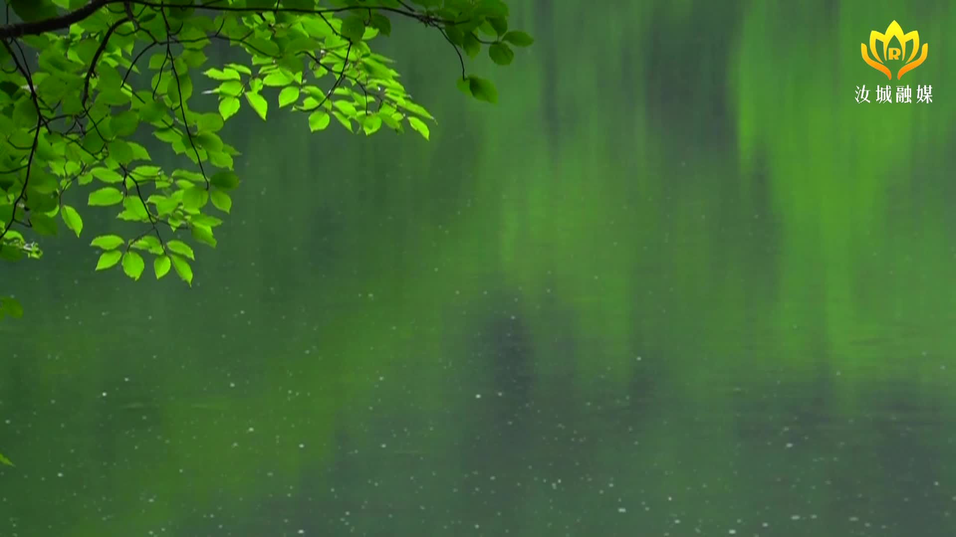 今日雨水