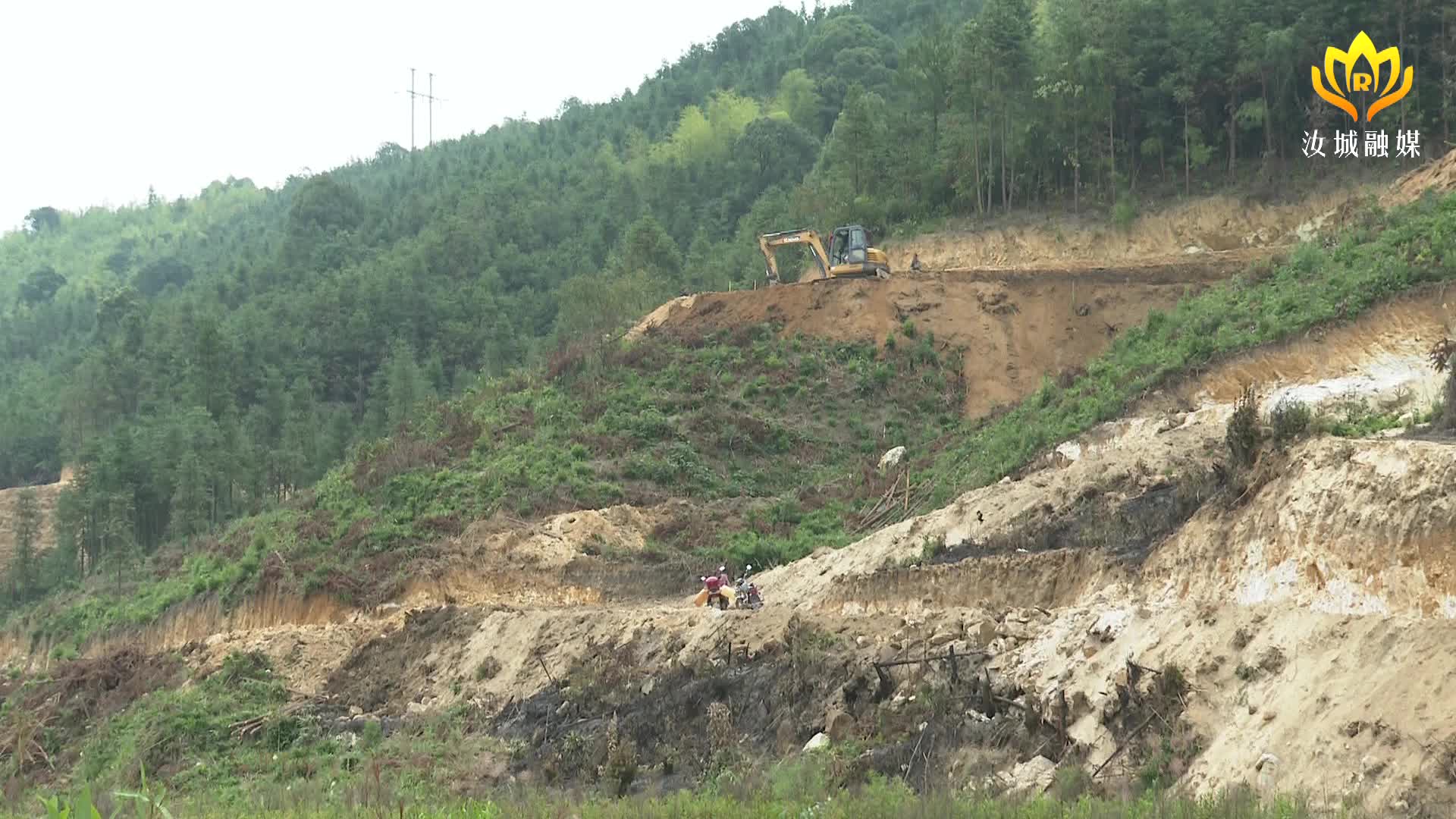 三江口瑶族镇：白毛茶种植忙