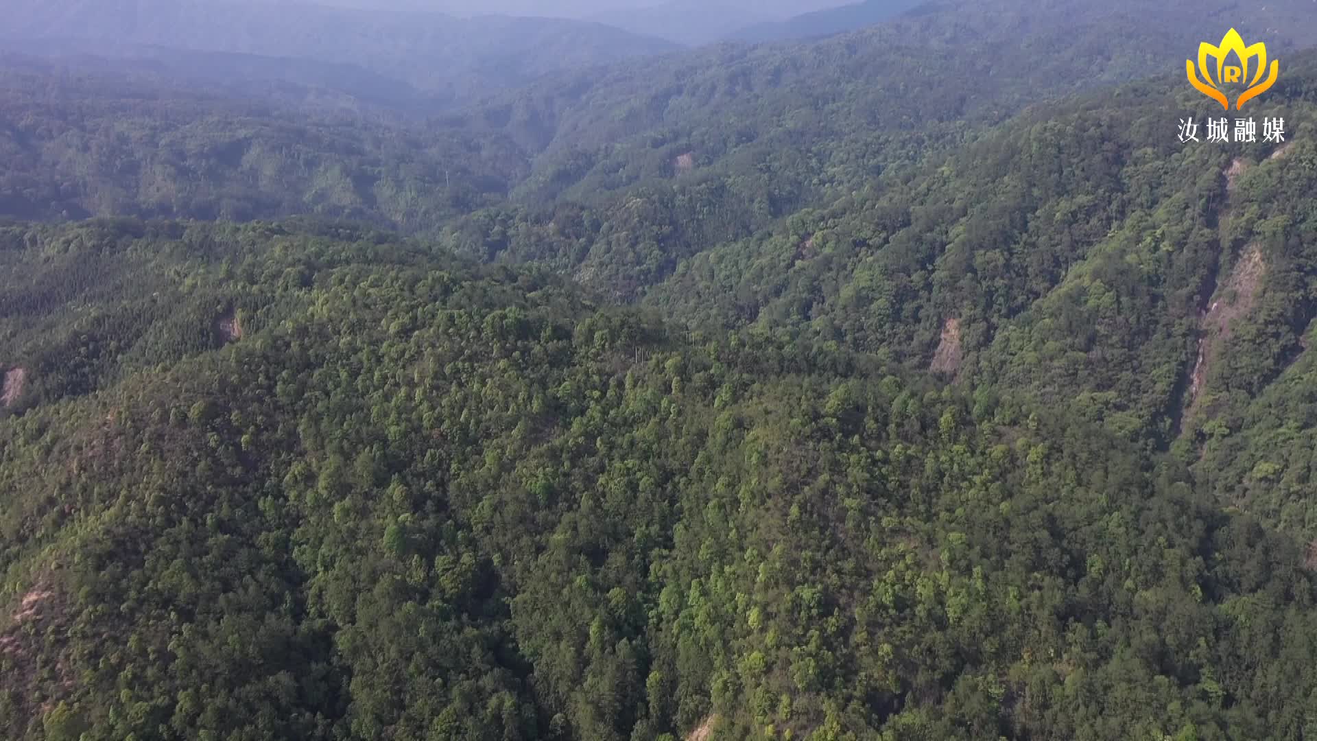 我县多措并举筑牢清明节森林防灭火“安全墙”