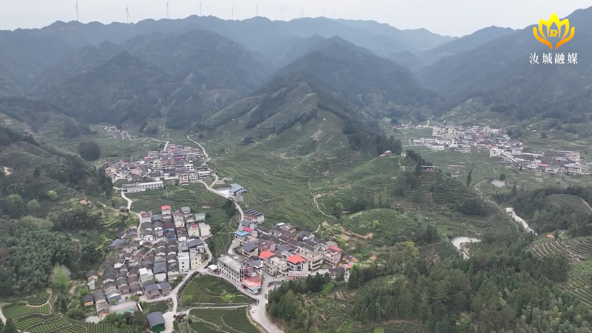 泉水旱塘：茶香漫翠岭 春茶采摘忙