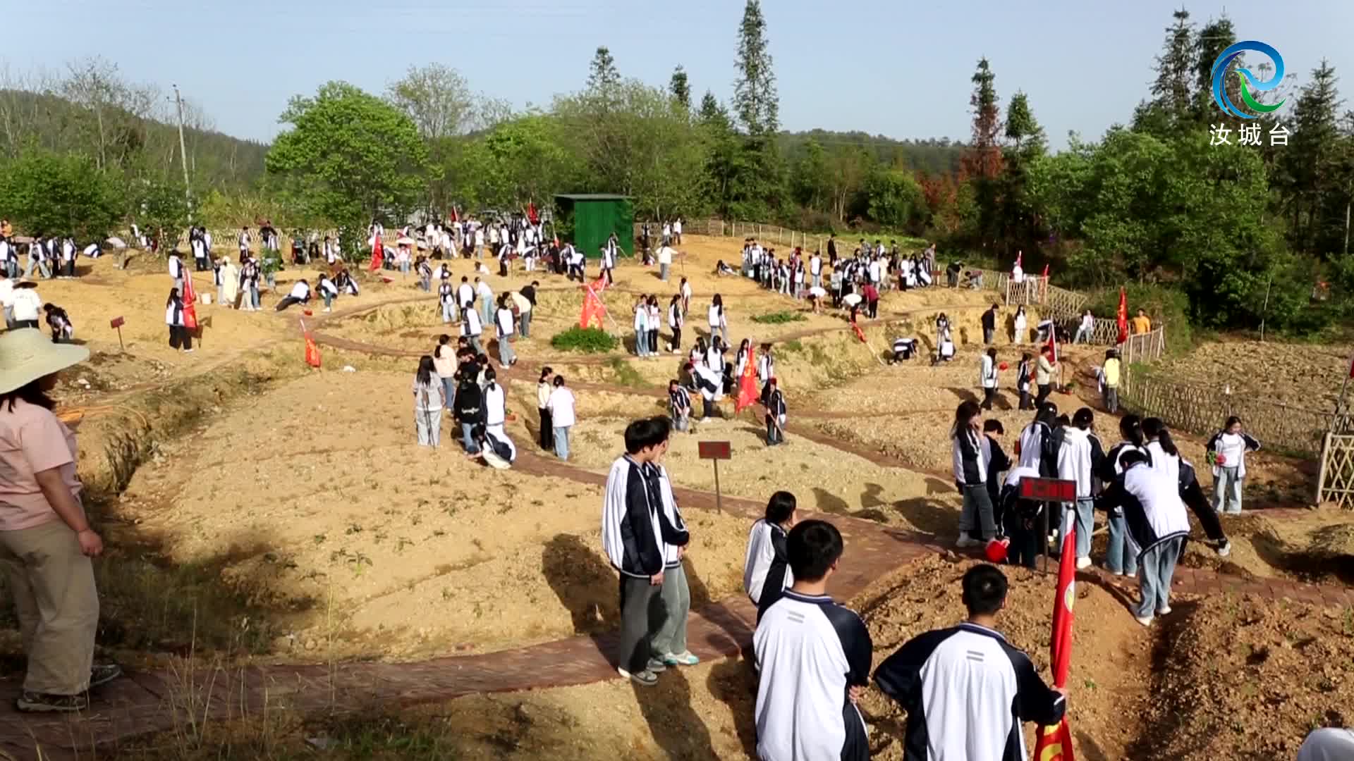 校园劳动实践基地：播种希望 收获成长