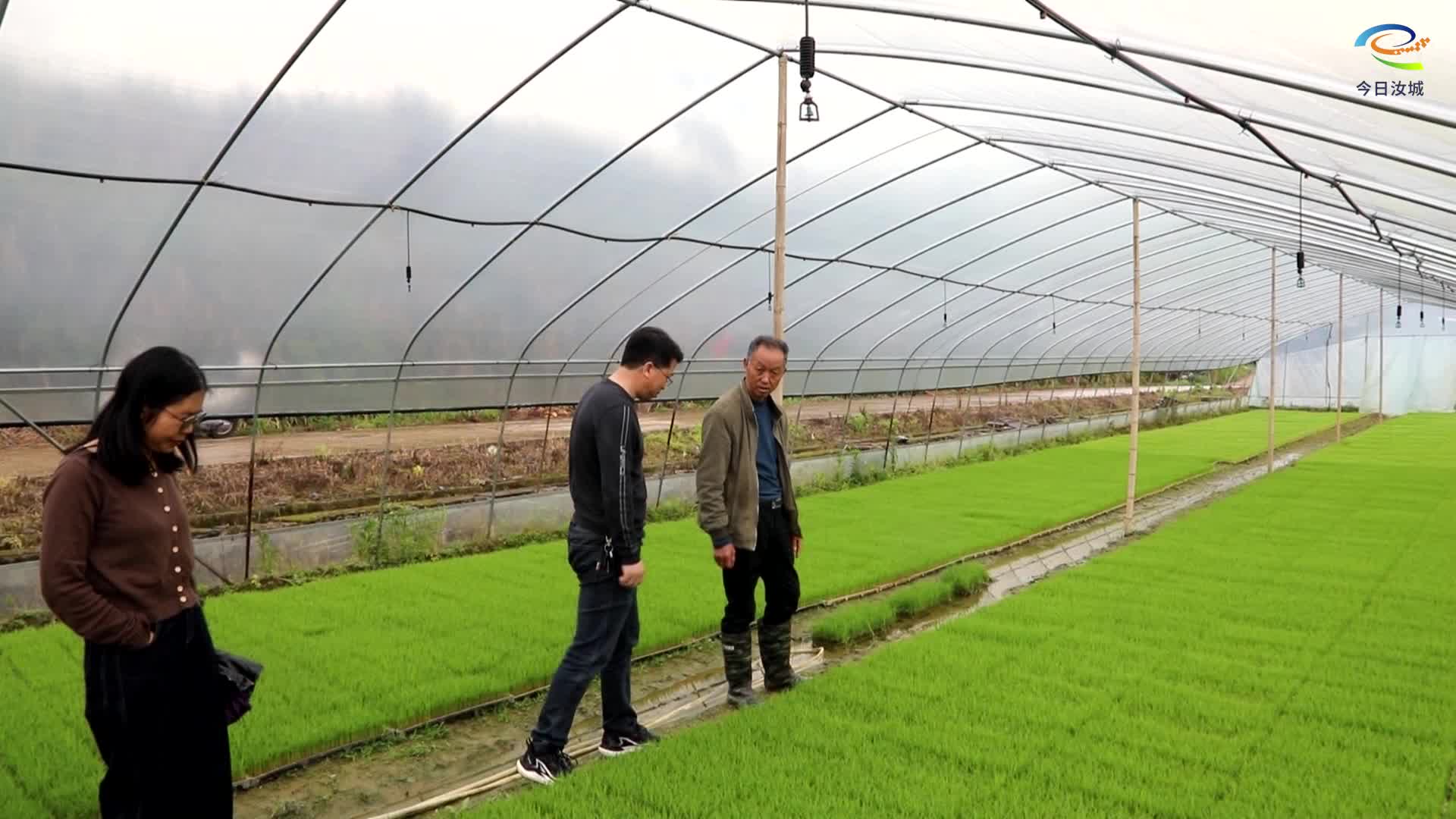县农业综合服务中心开展“三下乡”助农活动