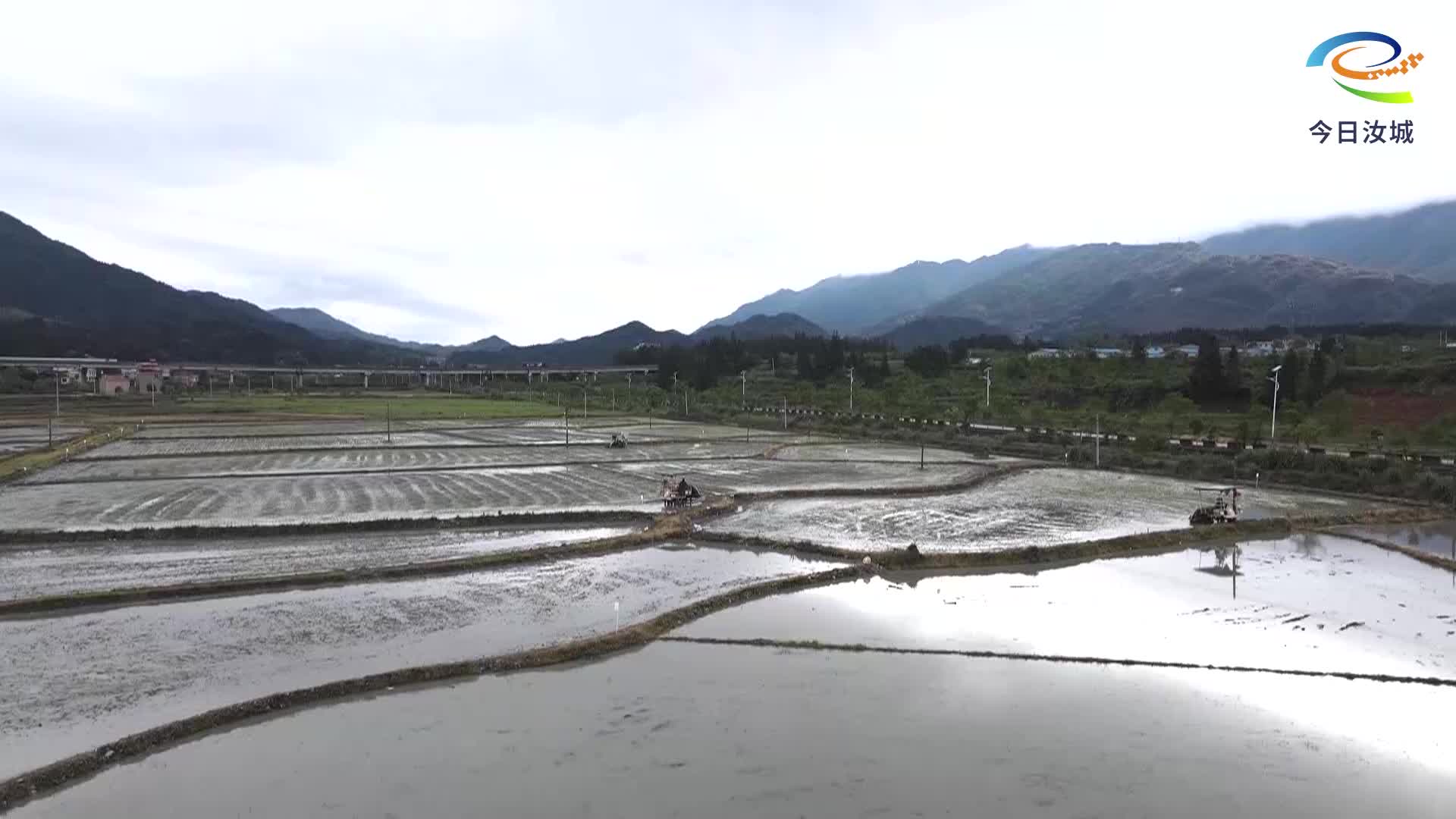 今日芒种  “芒”有所获 “种”有所得