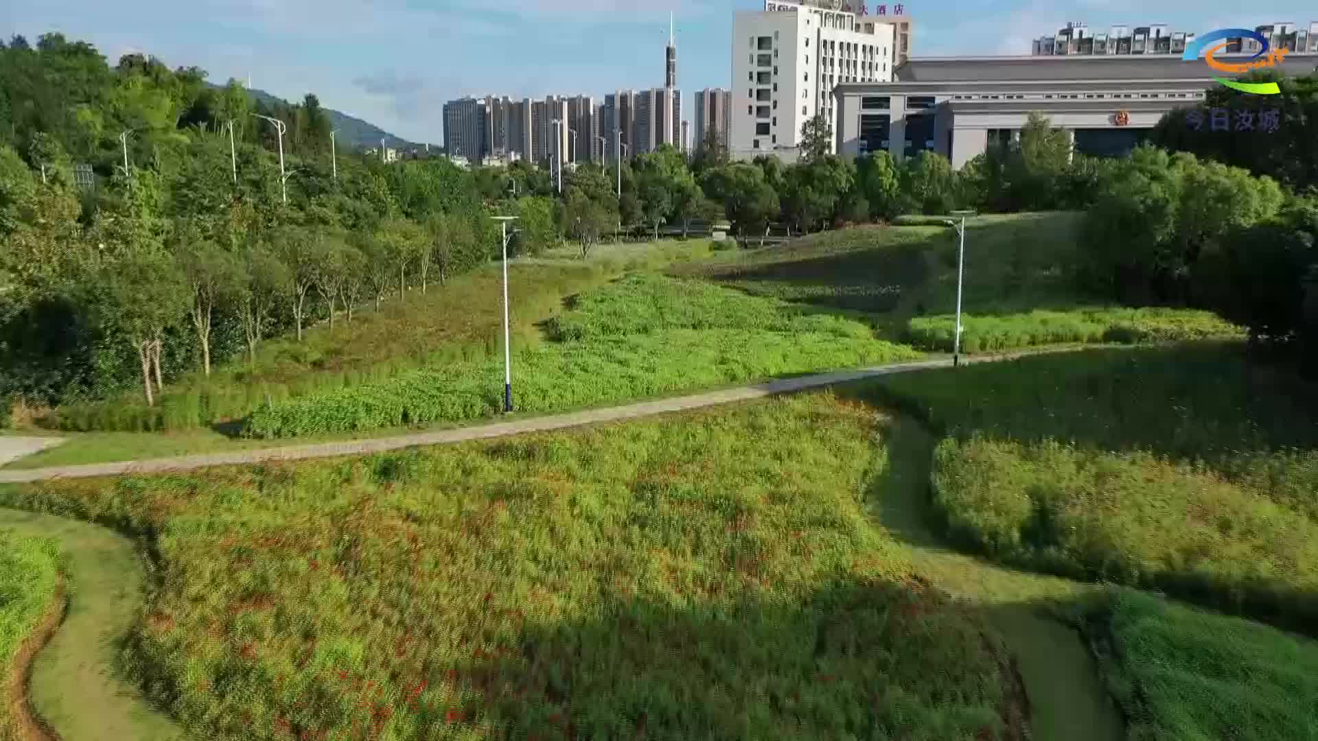 游园花开 迎来市民打卡热
