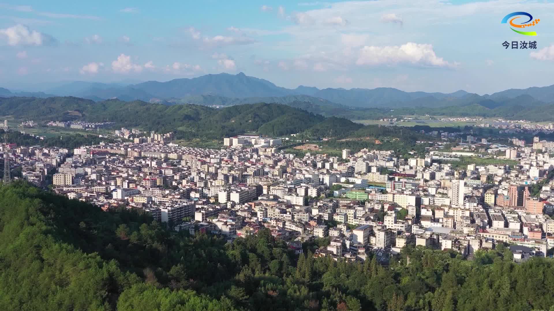 今日小暑