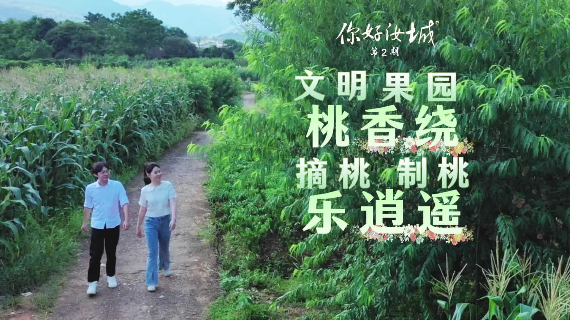 文明果园桃香绕 摘桃制桃乐逍遥