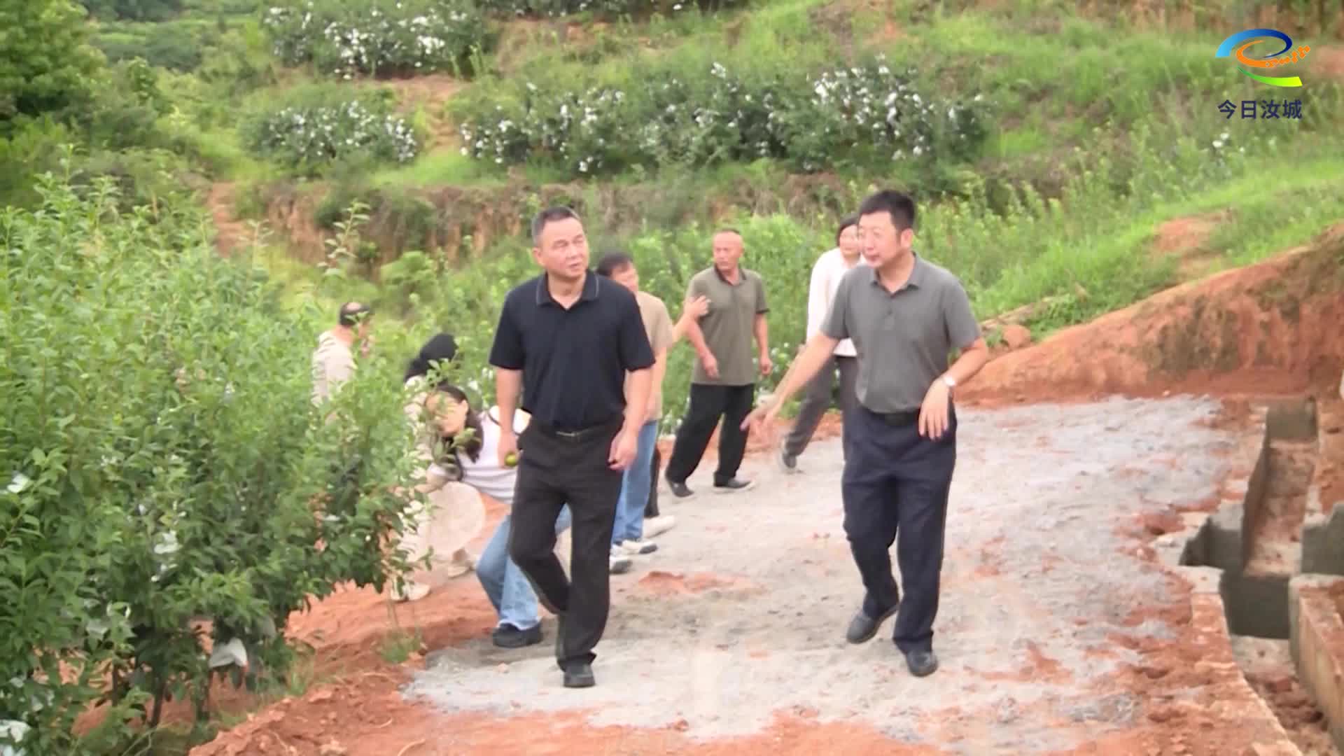 省农科院柰李高效高质生产技术推广应用项目助力汝城果农增收