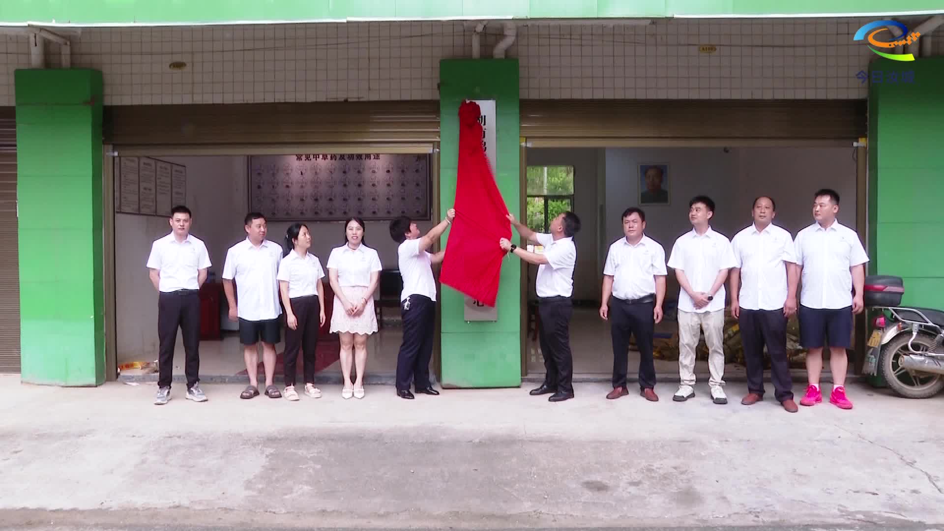 南洞乡成立中草药收购中心 畅通种植户销售渠道