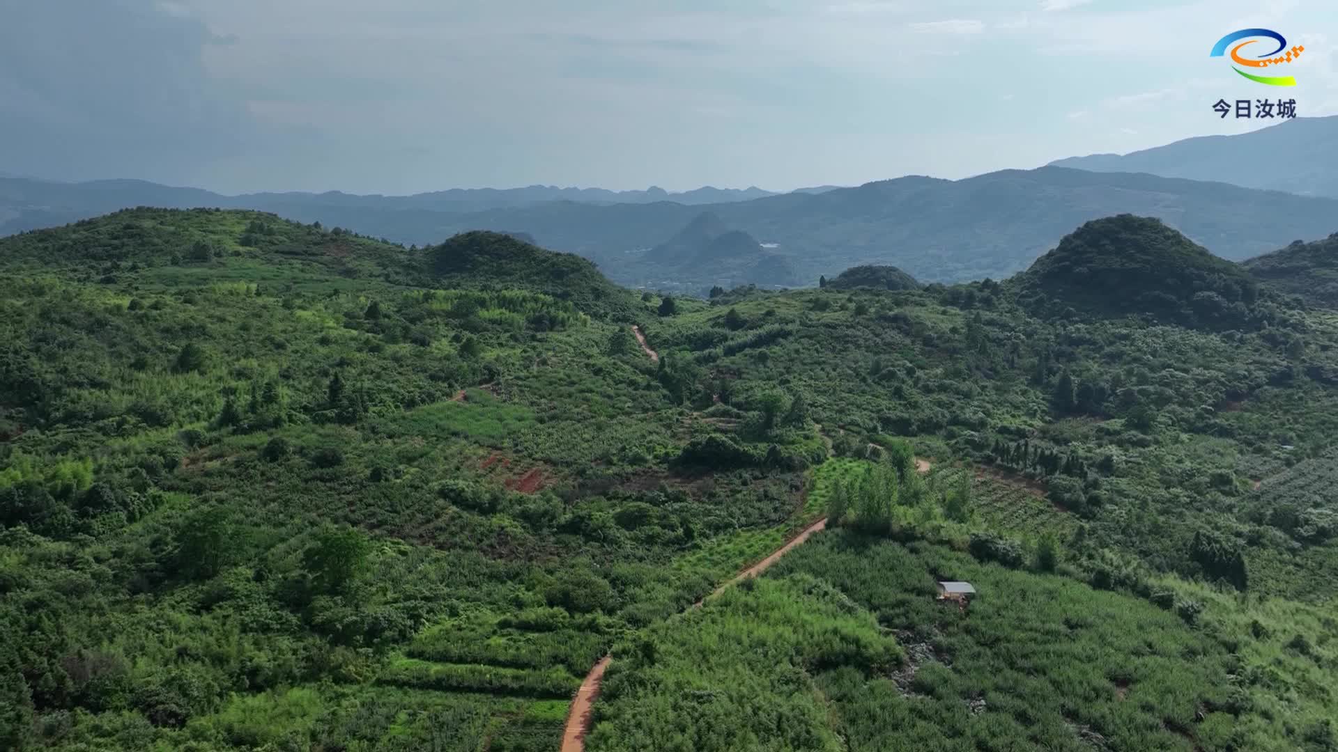 城乡公交变身“带货专线”   助农班车满载“甜蜜经济”