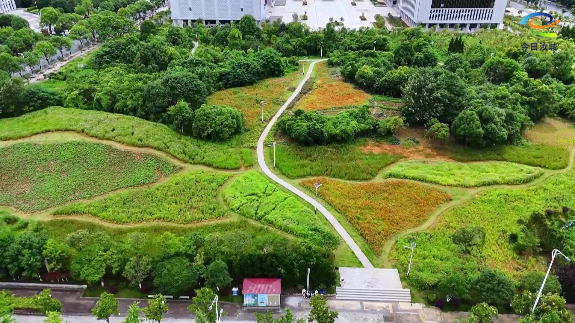 小游园花海盛放 扮靓城市添活力