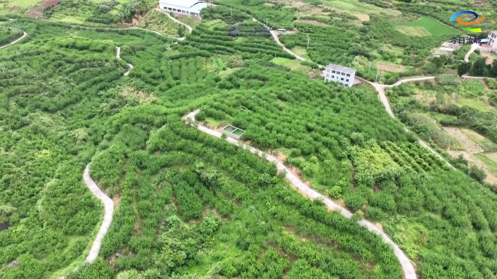 汝城：“短链直供”农产品进城加速跑