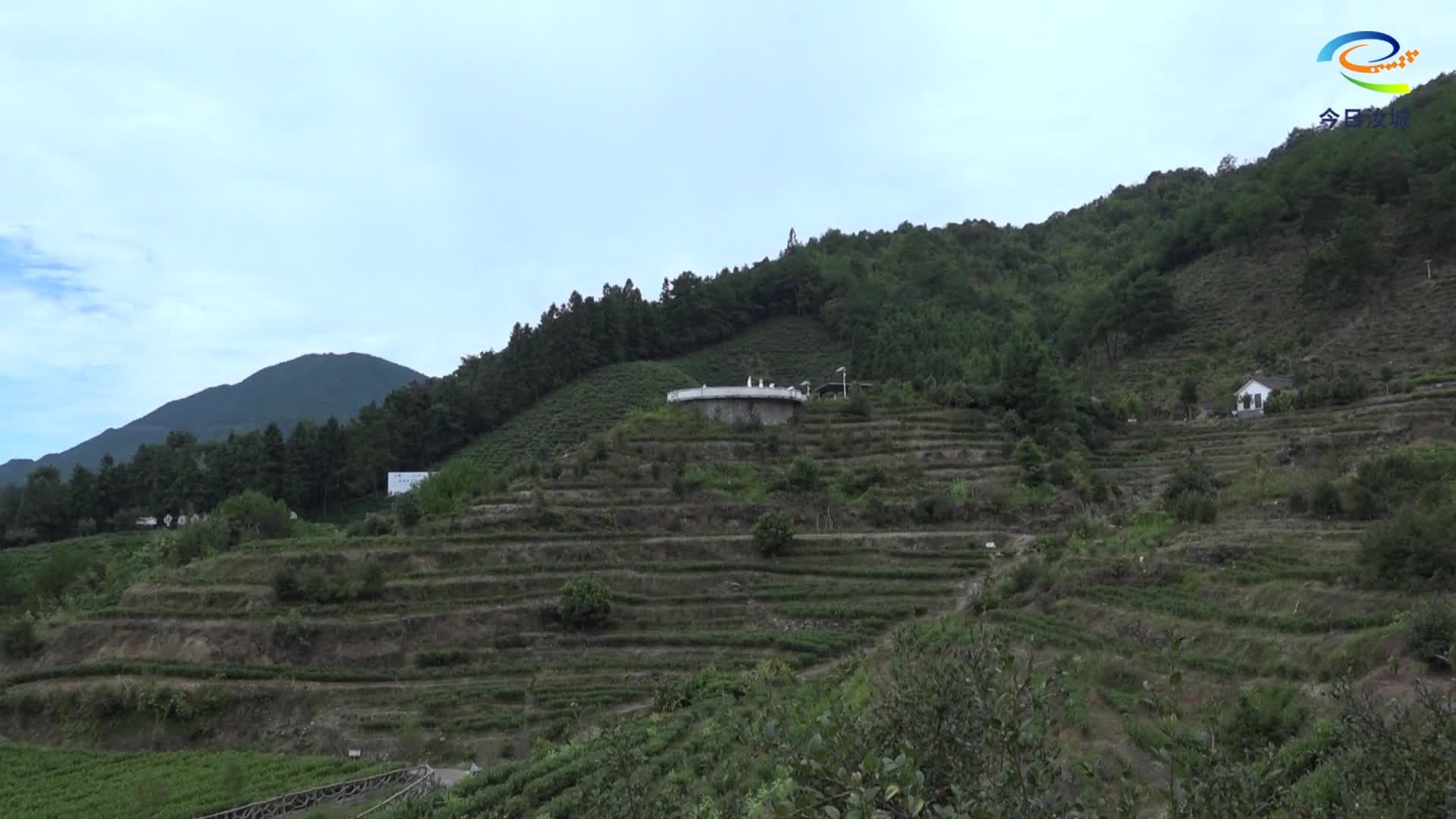 我县举办“茶韵九龙江•香约白毛茶”采风