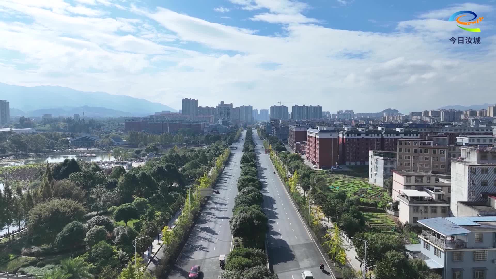 初冬暖阳染金叶 汝城银杏树进入最佳观赏期