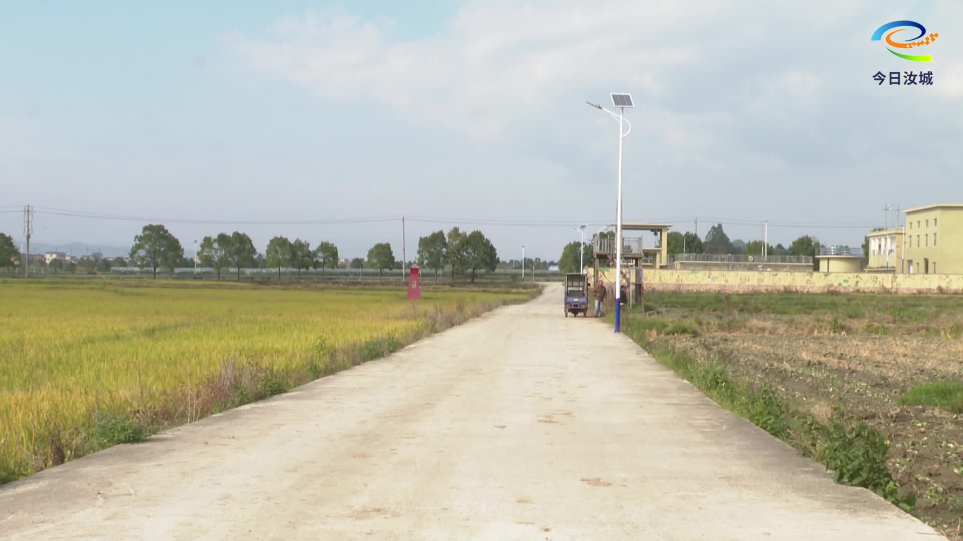 大坪镇:85盏太阳能路灯点亮群众夜间出行路