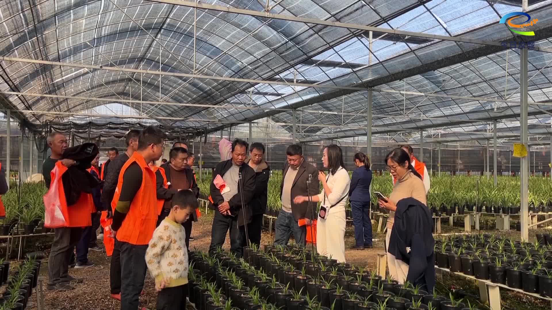 2025年高素质农民培育乡村建设及治理人才培训班开班