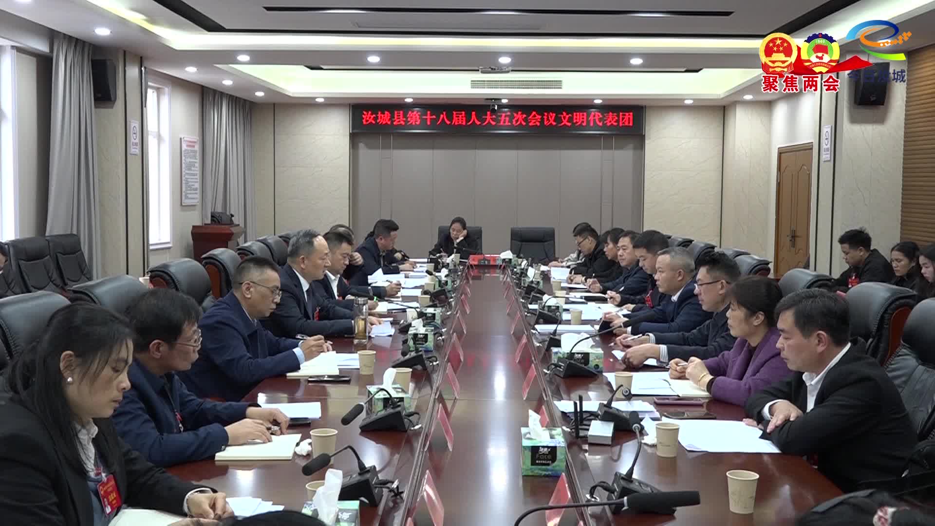 各代表团分组审议政府工作报告、审查计划工作报告、预算工作报告