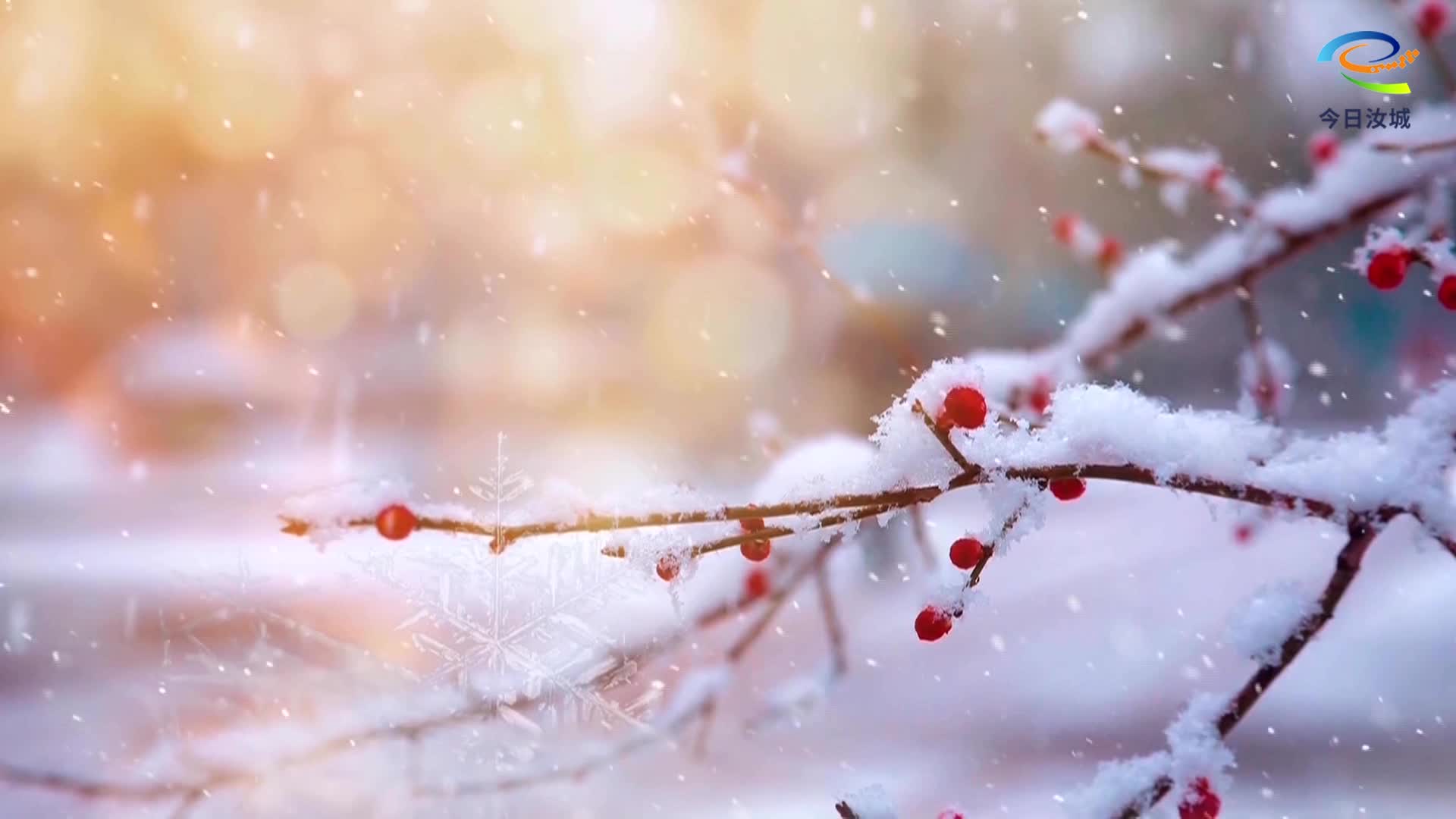 今日大寒 | 大寒已至 静待春归