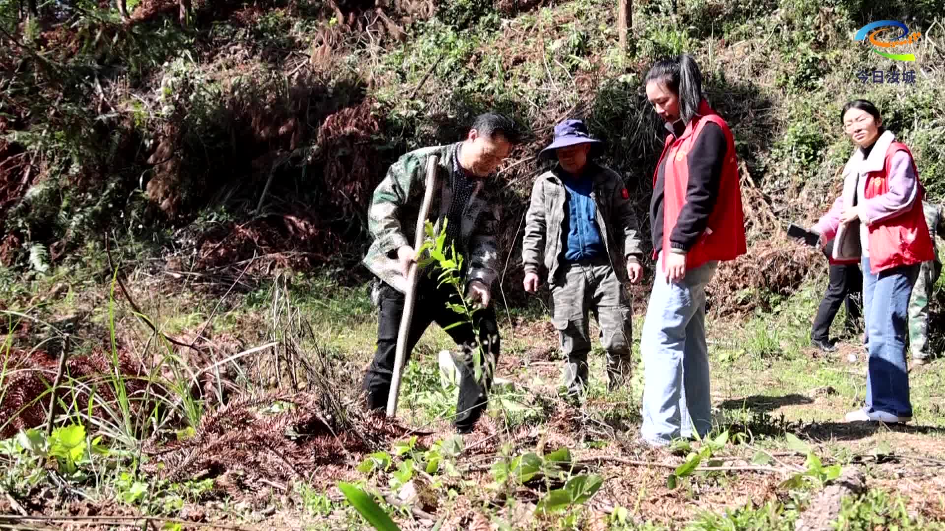 植一抹新绿 赴一场春约
