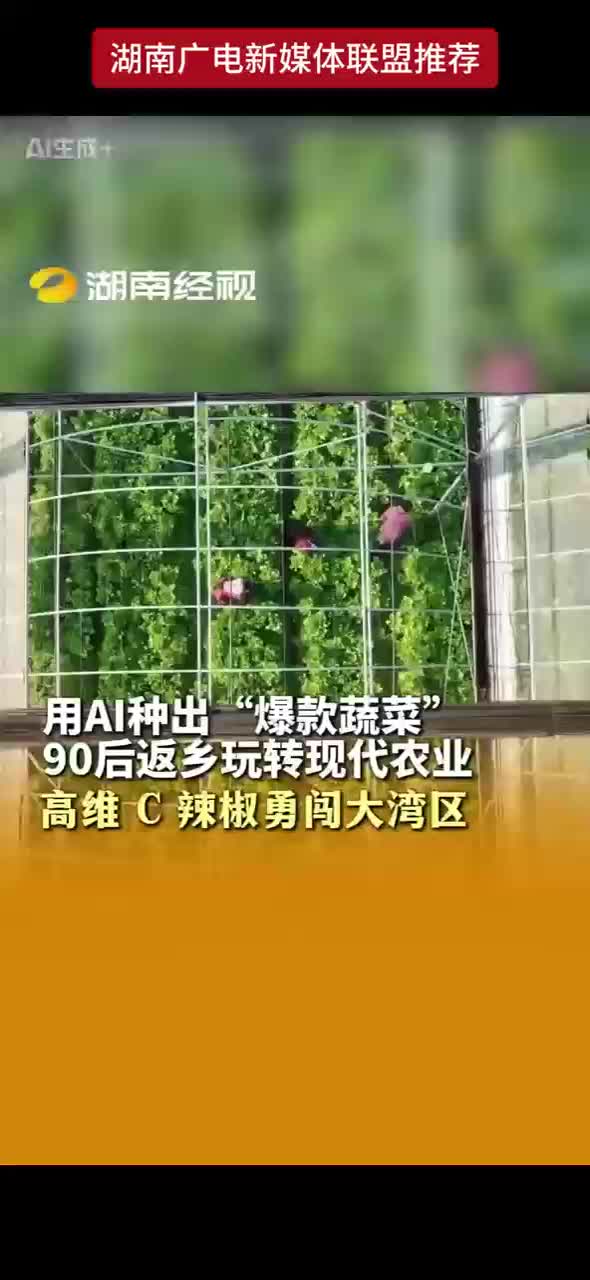 用AI种出“爆款蔬菜”90后返乡玩转现代农业