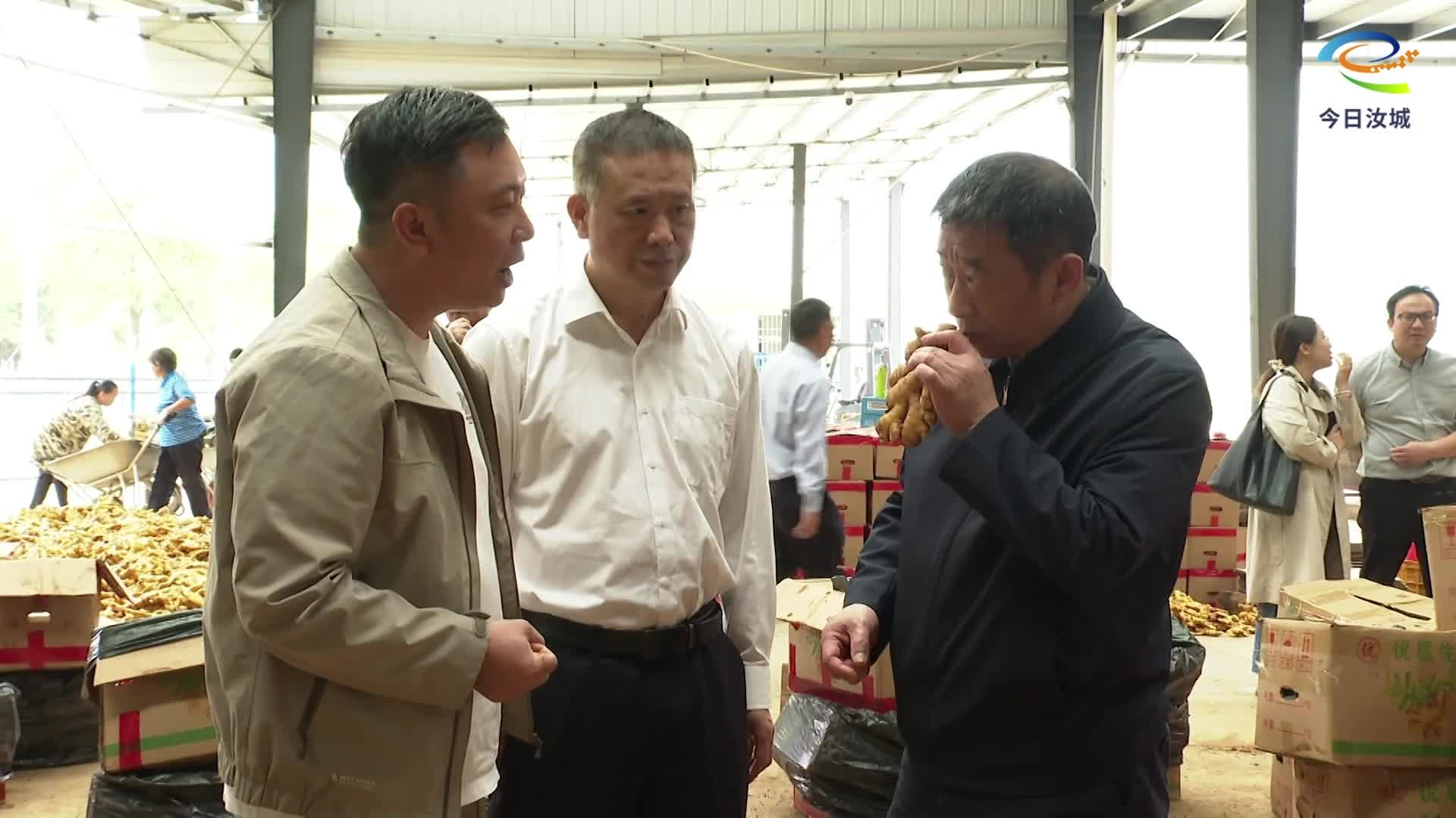 市人大来汝调研农产品加工产业发展工作