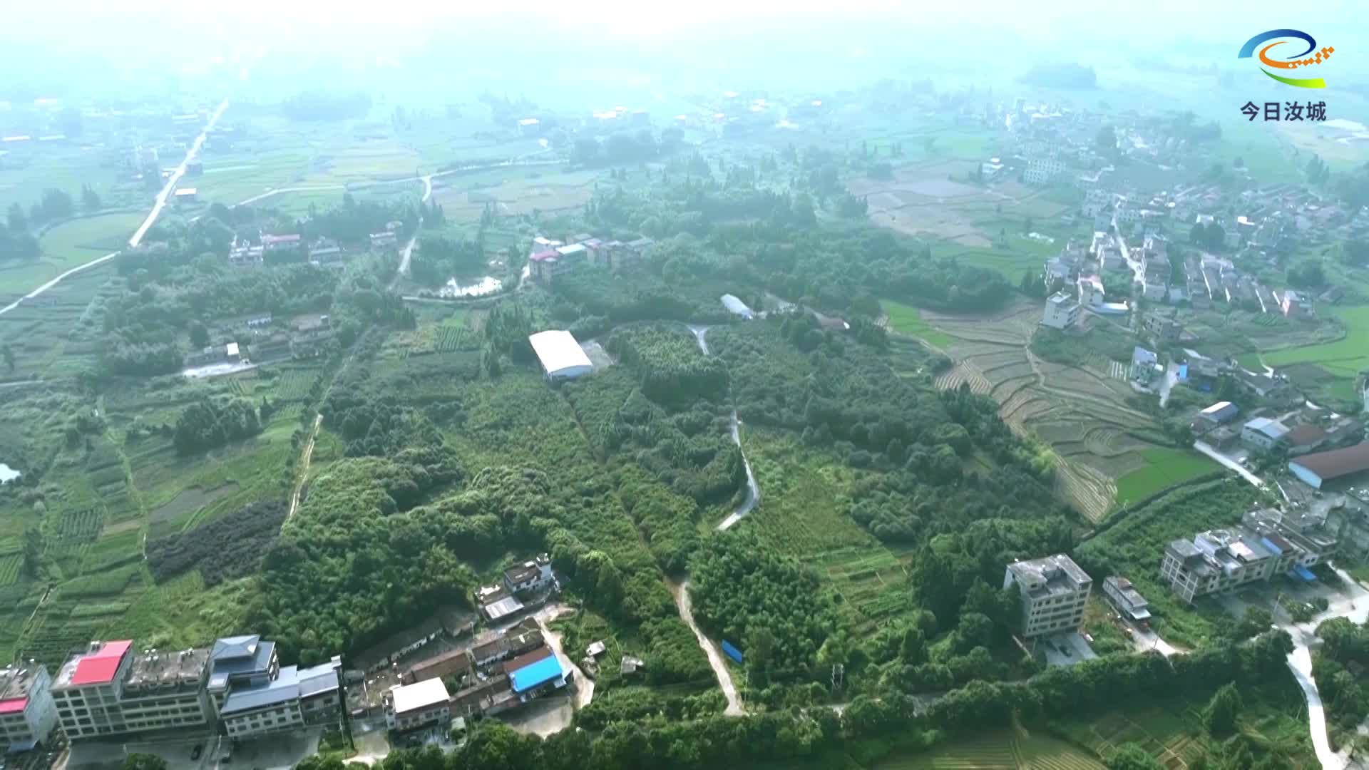 深耕林下经济   铺就绿色致富路