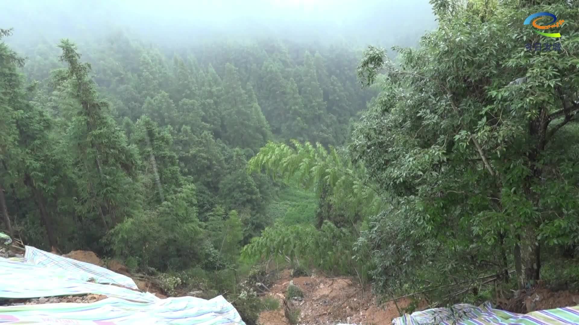 我县高效处置一起山洪地质险情
